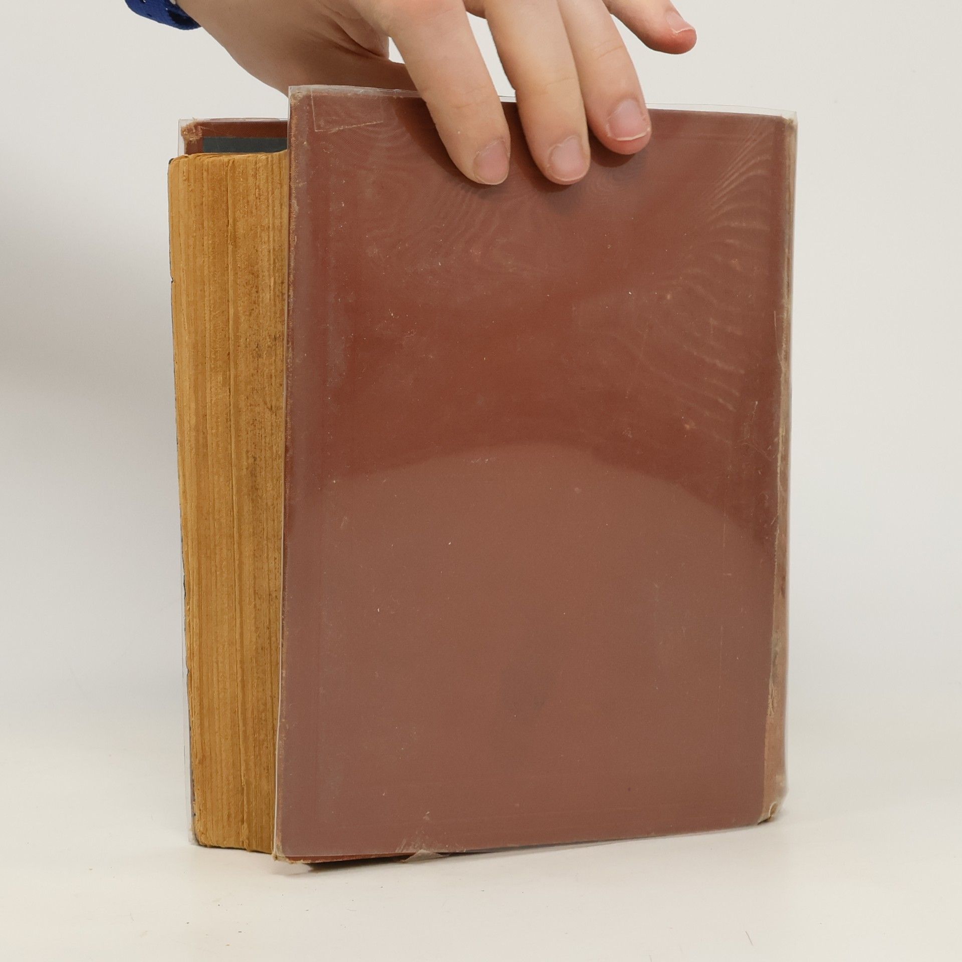 Auteurscollectief Hrabě Monte Kristo VII