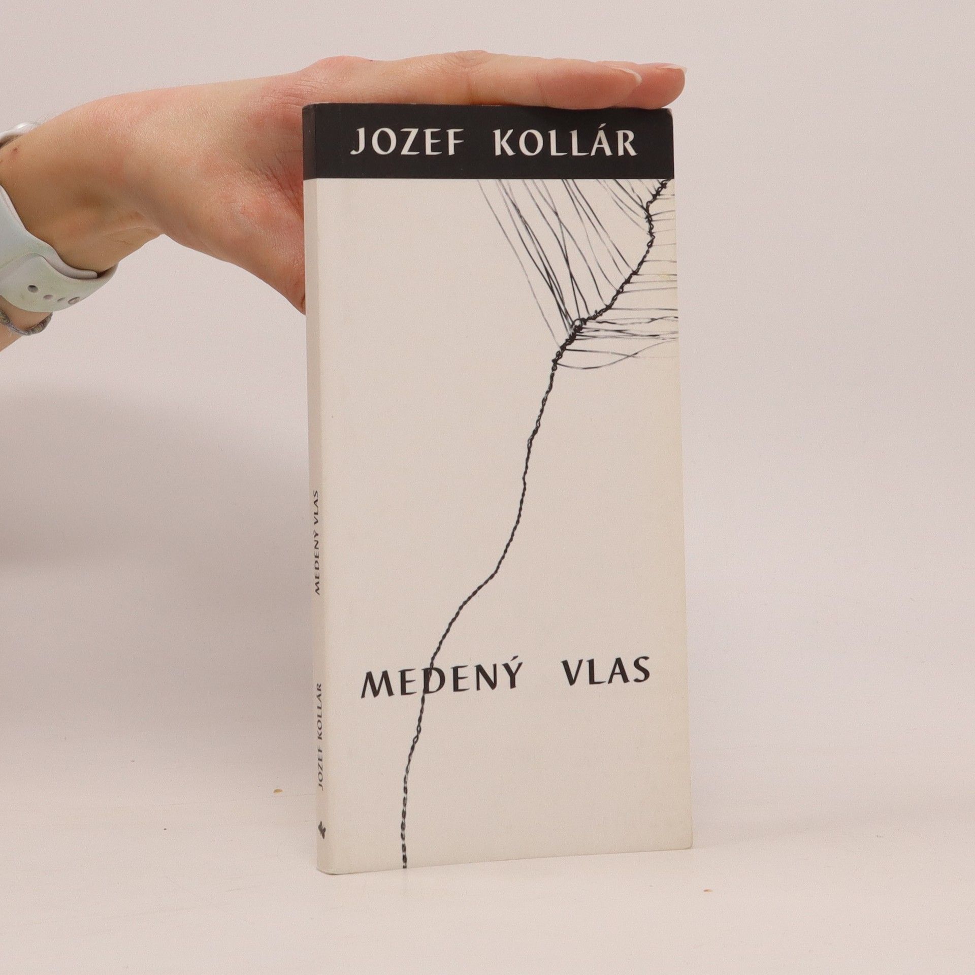 Jozef Kollár Medený vlas