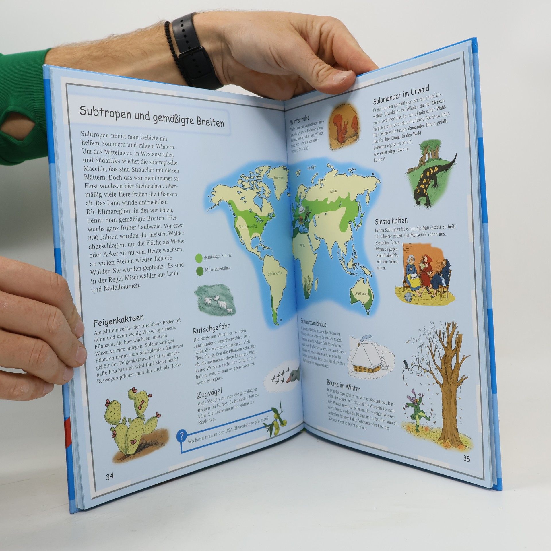 Ute Friesen Wetteratlas für Kinder