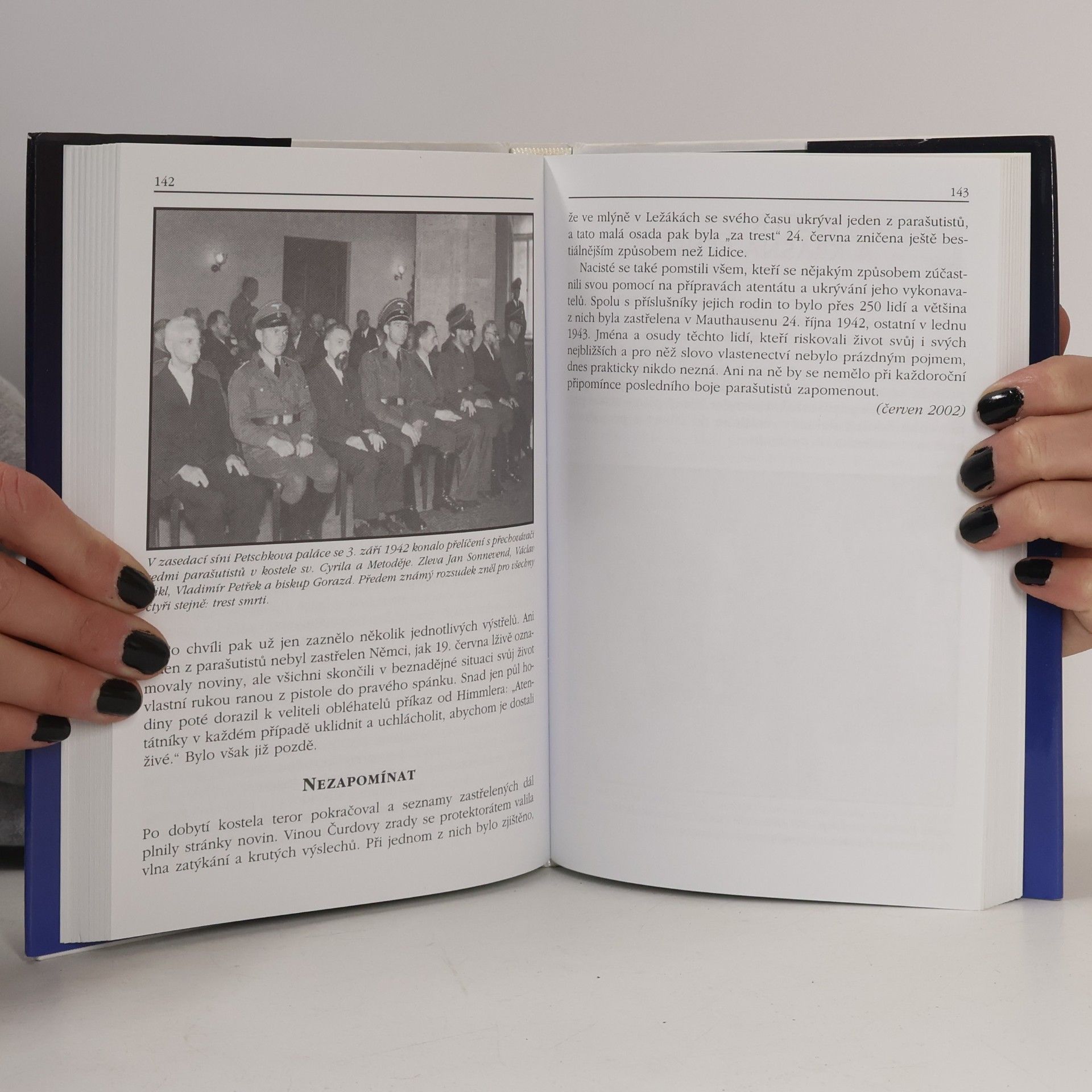 Miroslav Šiška Historické miniatury