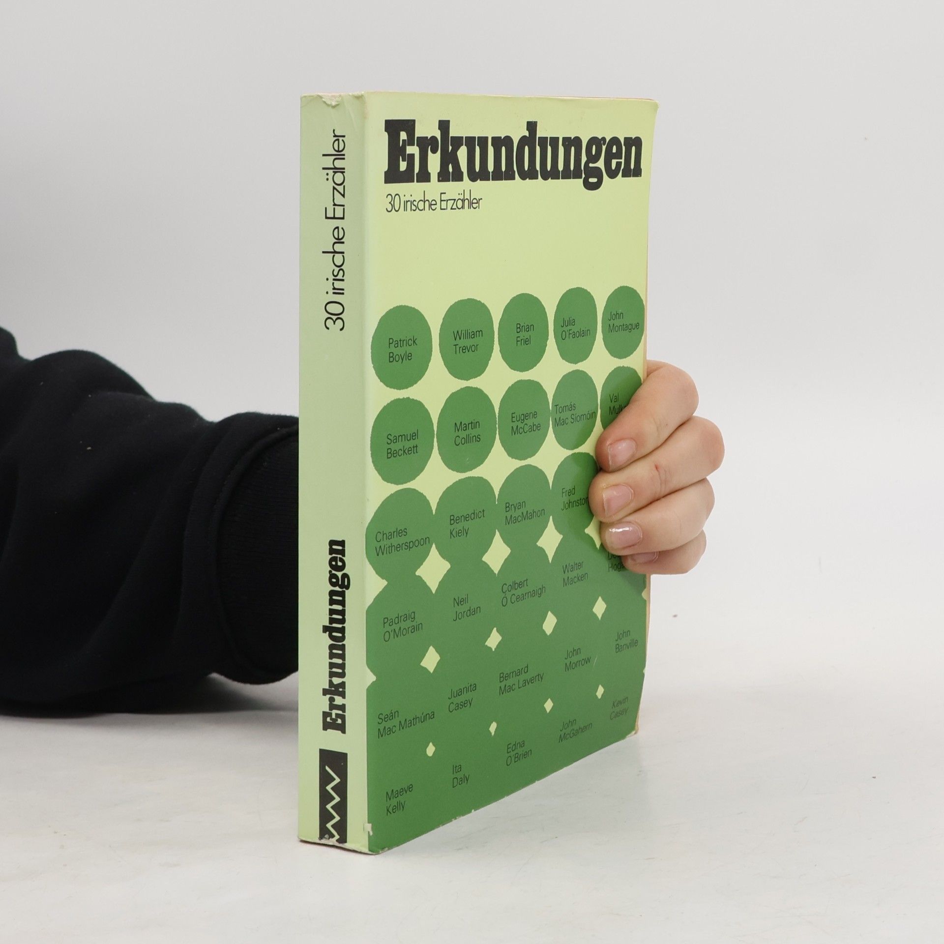 Kolektiv autorů Erkundungen. 30 irische Erzähler