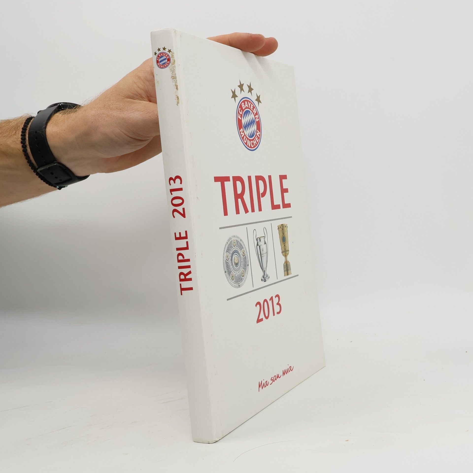FC Bayern München Triple 2013