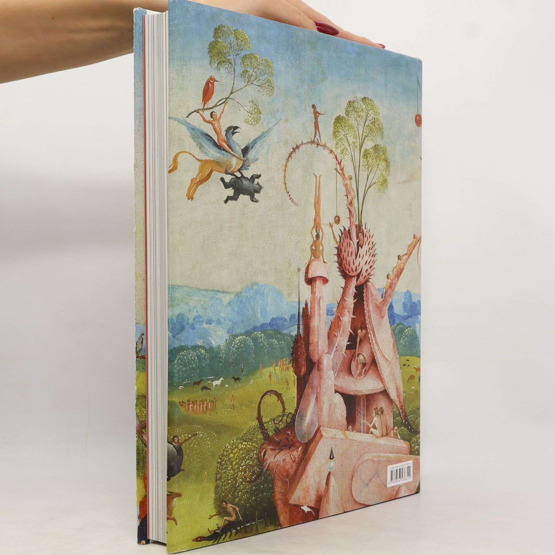 Hieronymus Bosch Jheronimus Bosch