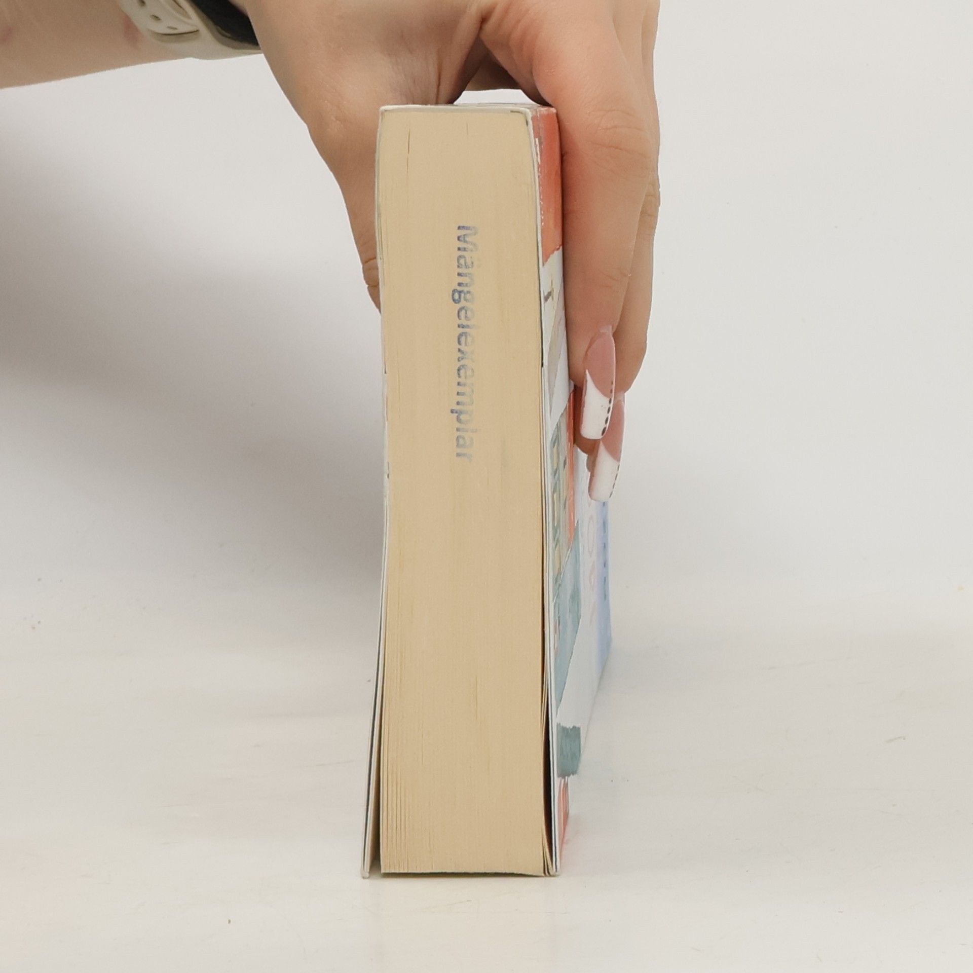 Katharina Herzog Das kleine Bücherdorf - Winterglitzern
