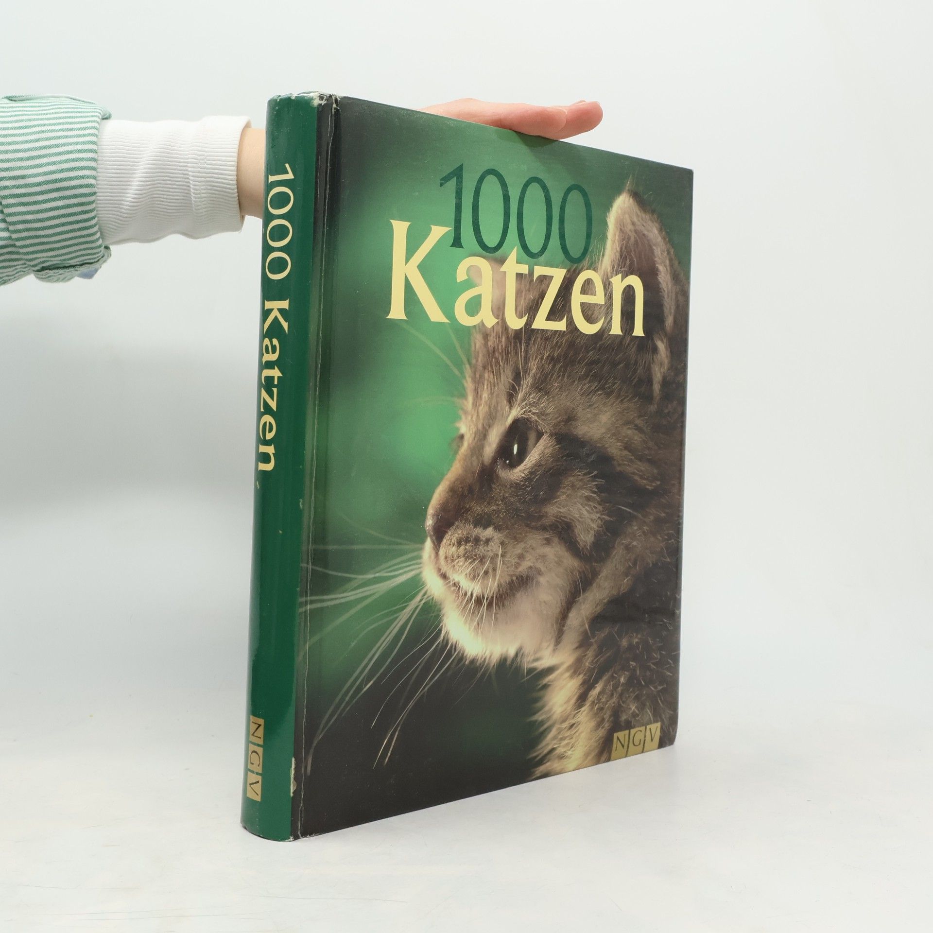1000 Katzen