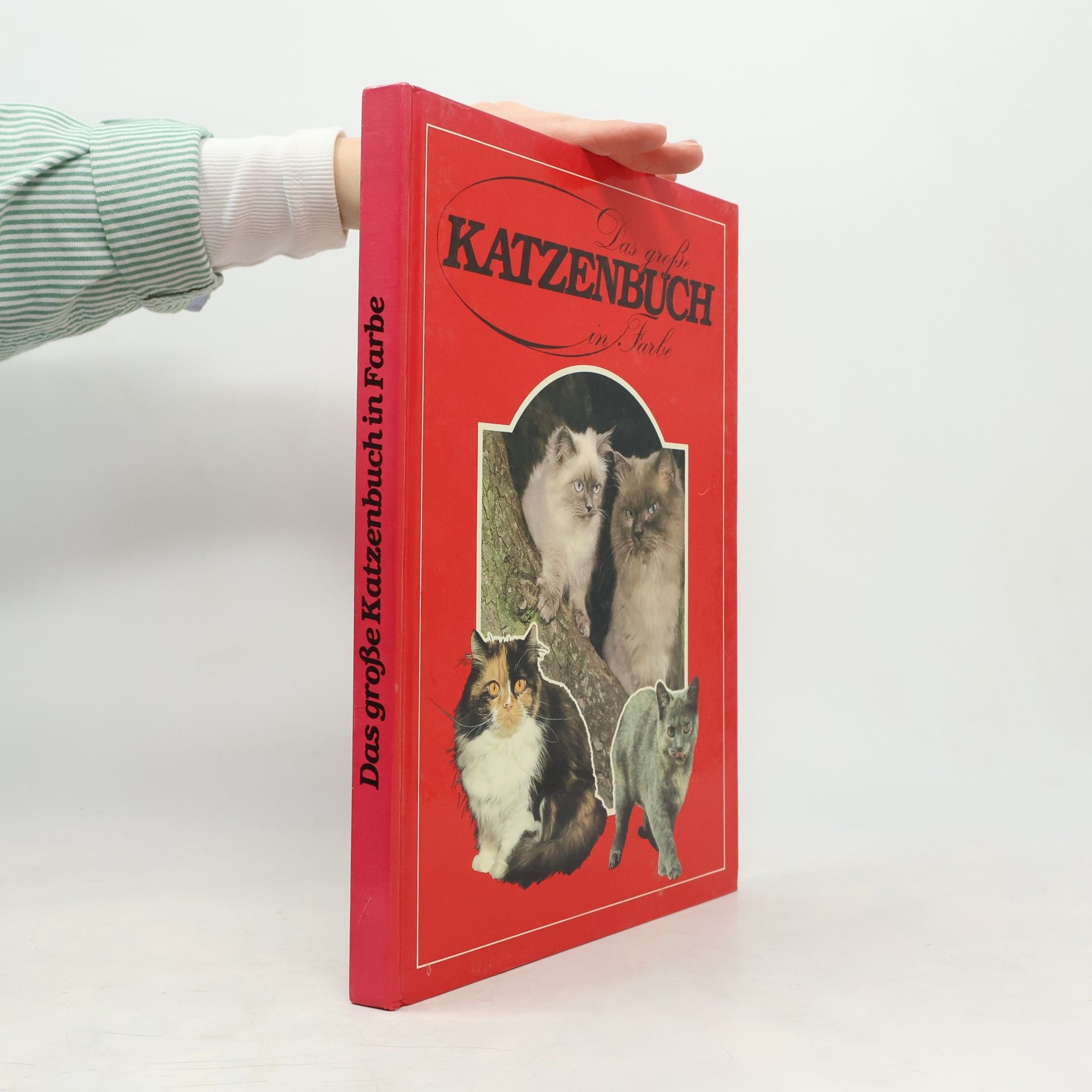 Das große Katzenbuch