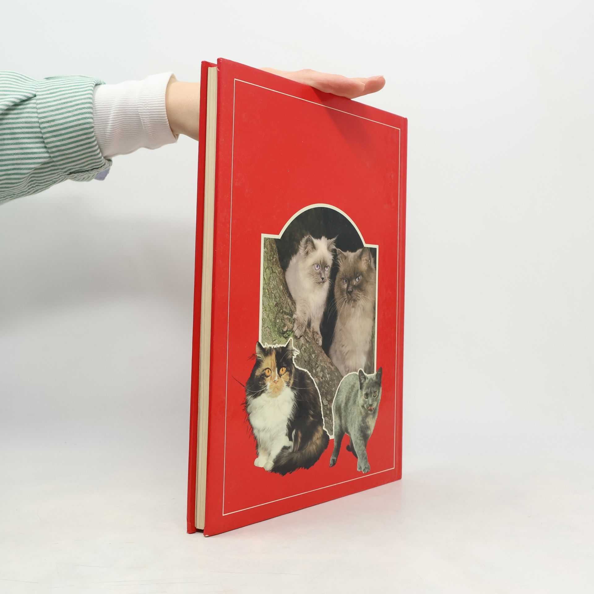 John Francis Das große Katzenbuch