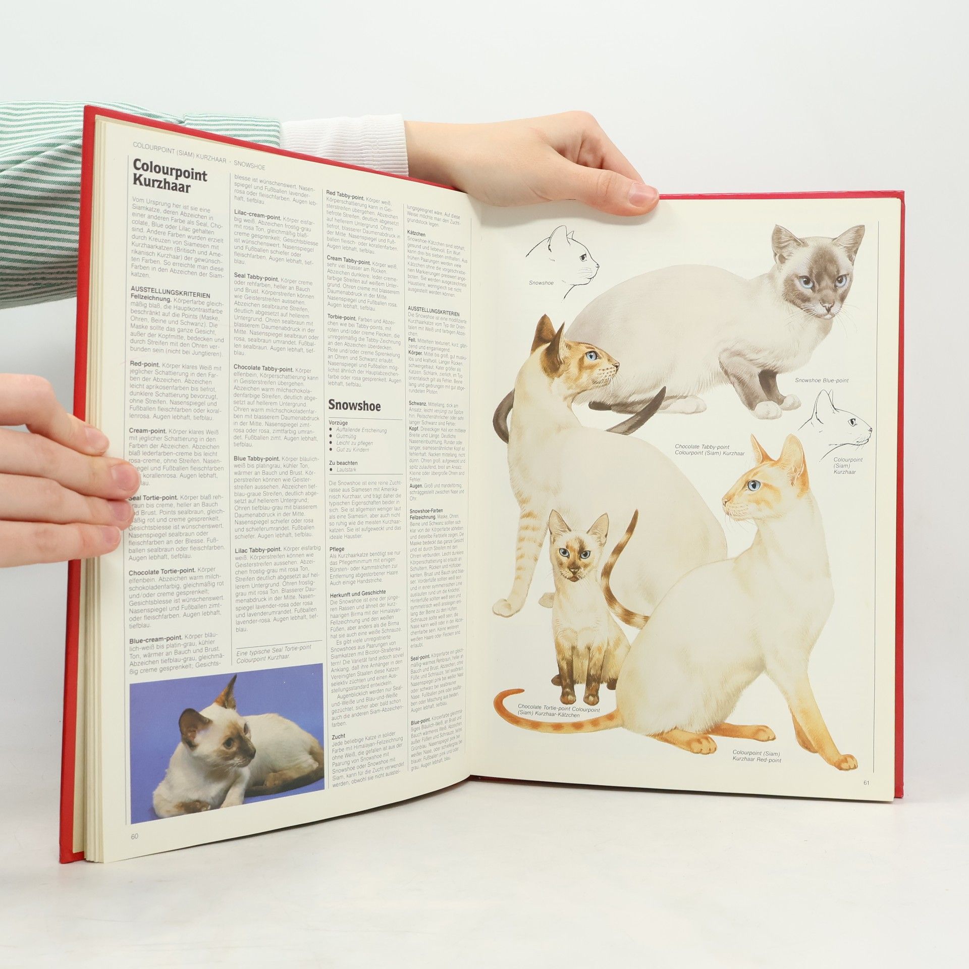 John Francis Das große Katzenbuch