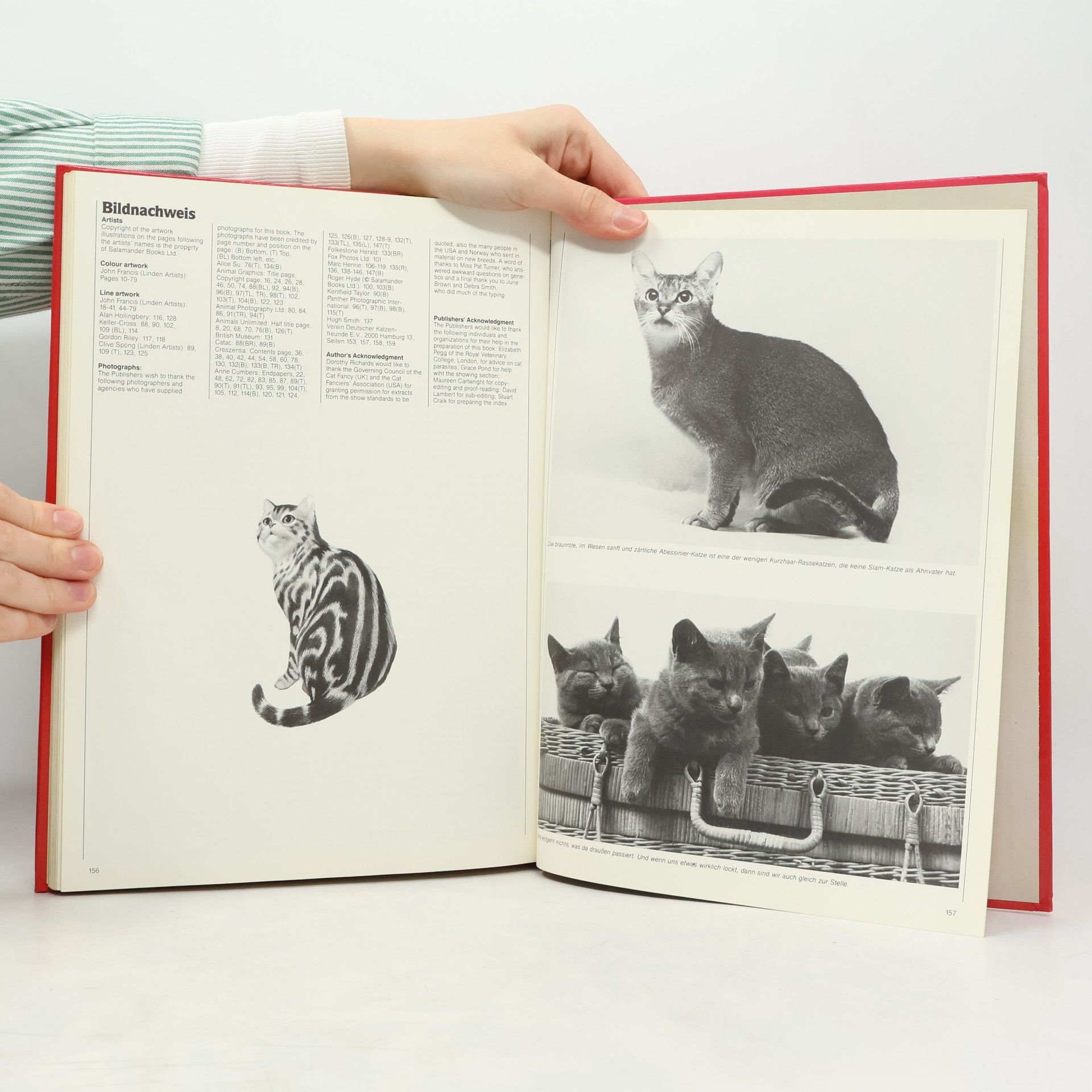 John Francis Das große Katzenbuch