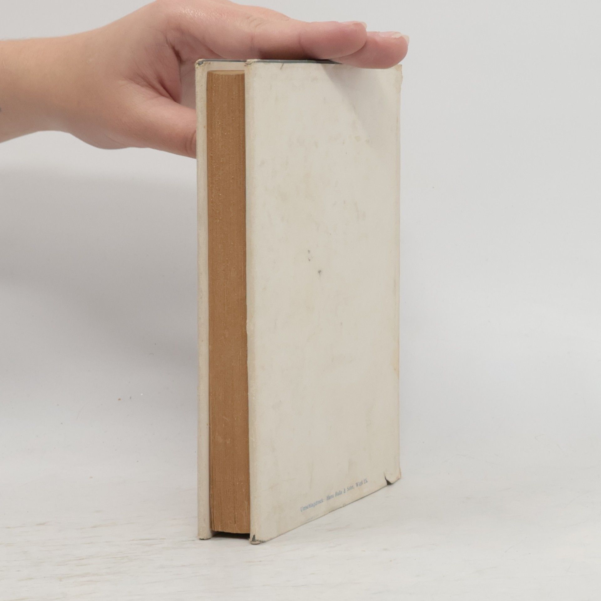 Hans von Tabarelli Alt-Wiener Geschichtenbuch