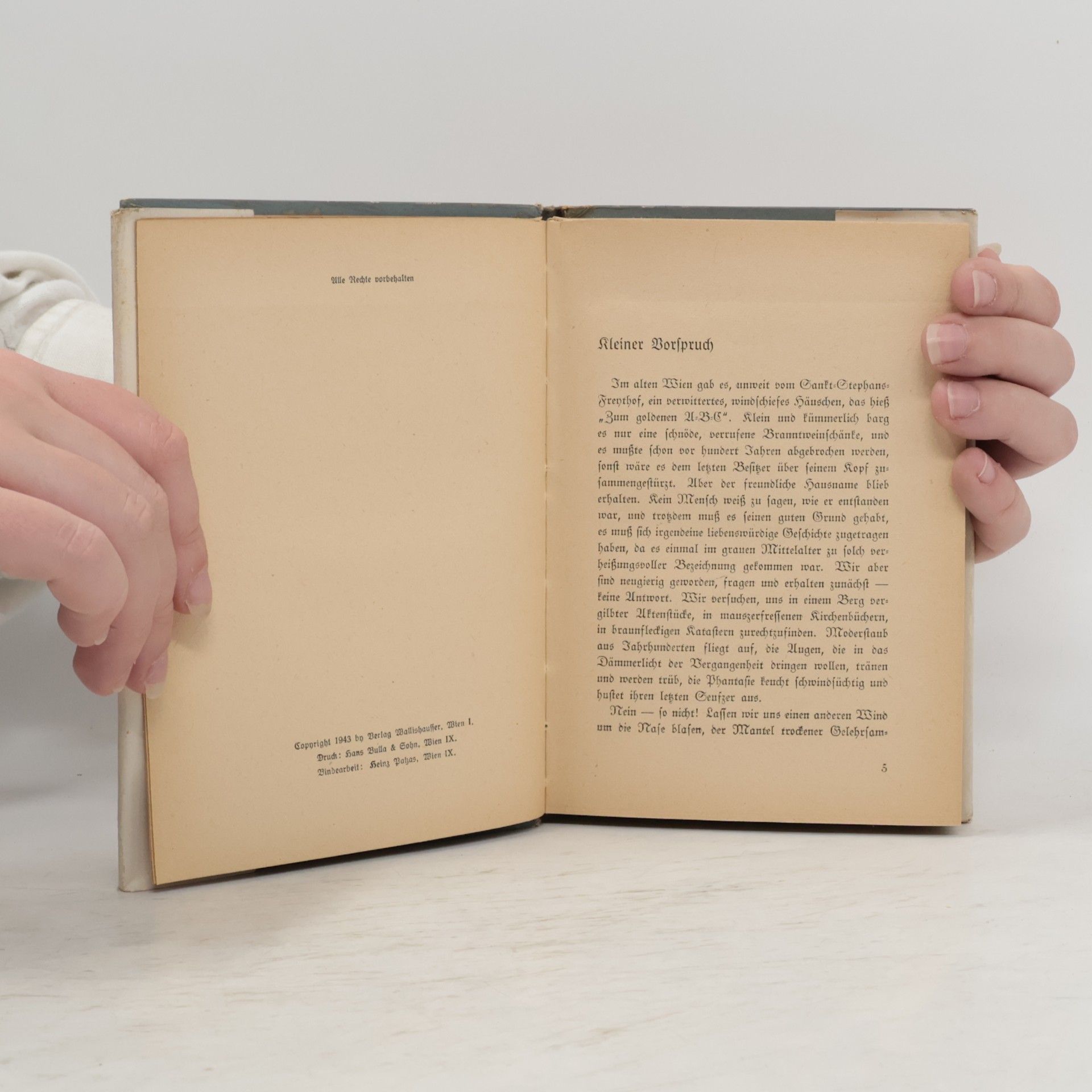 Hans von Tabarelli Alt-Wiener Geschichtenbuch