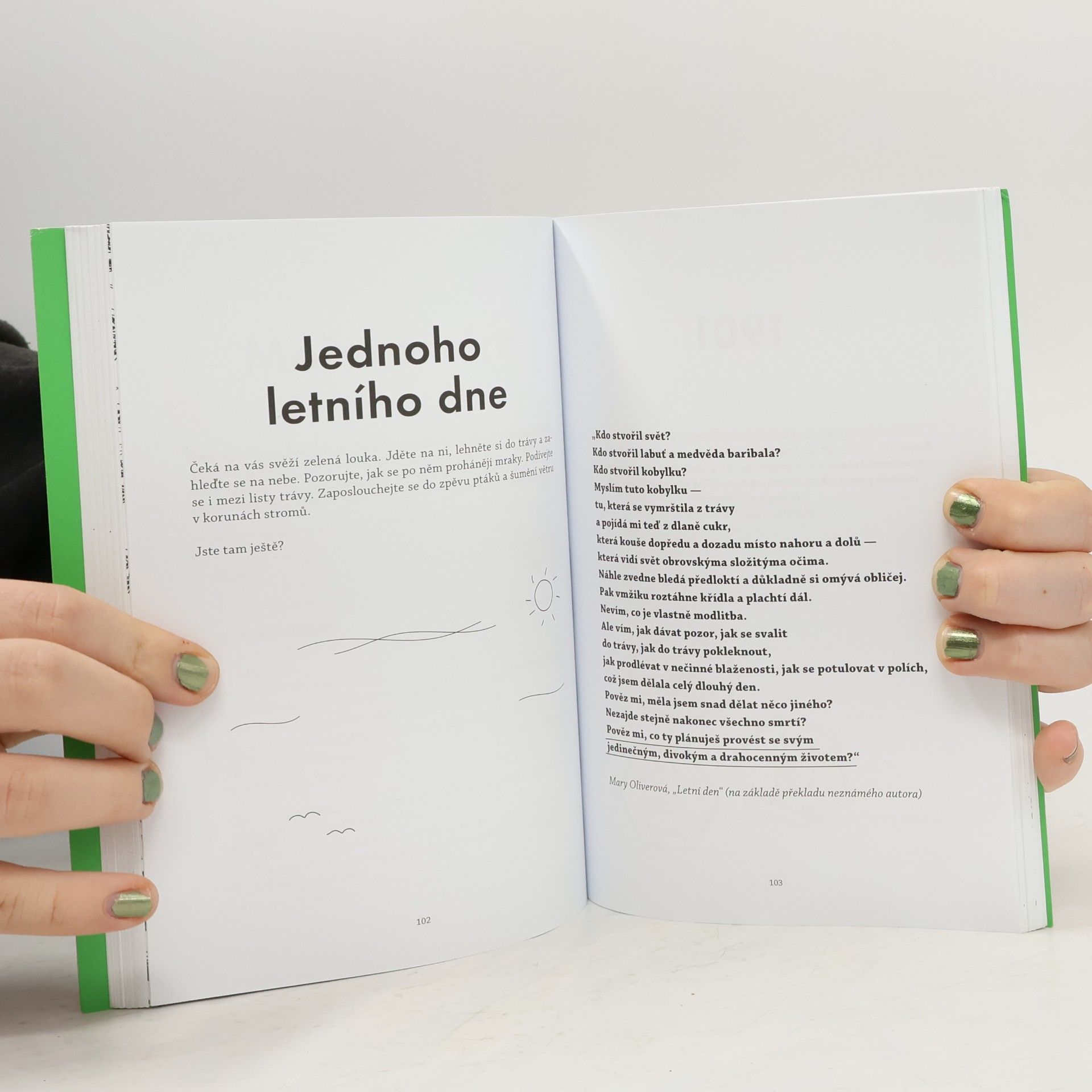 Alexandra Frey Do přírody: Od displejů k vědomému propojení se svým okolím