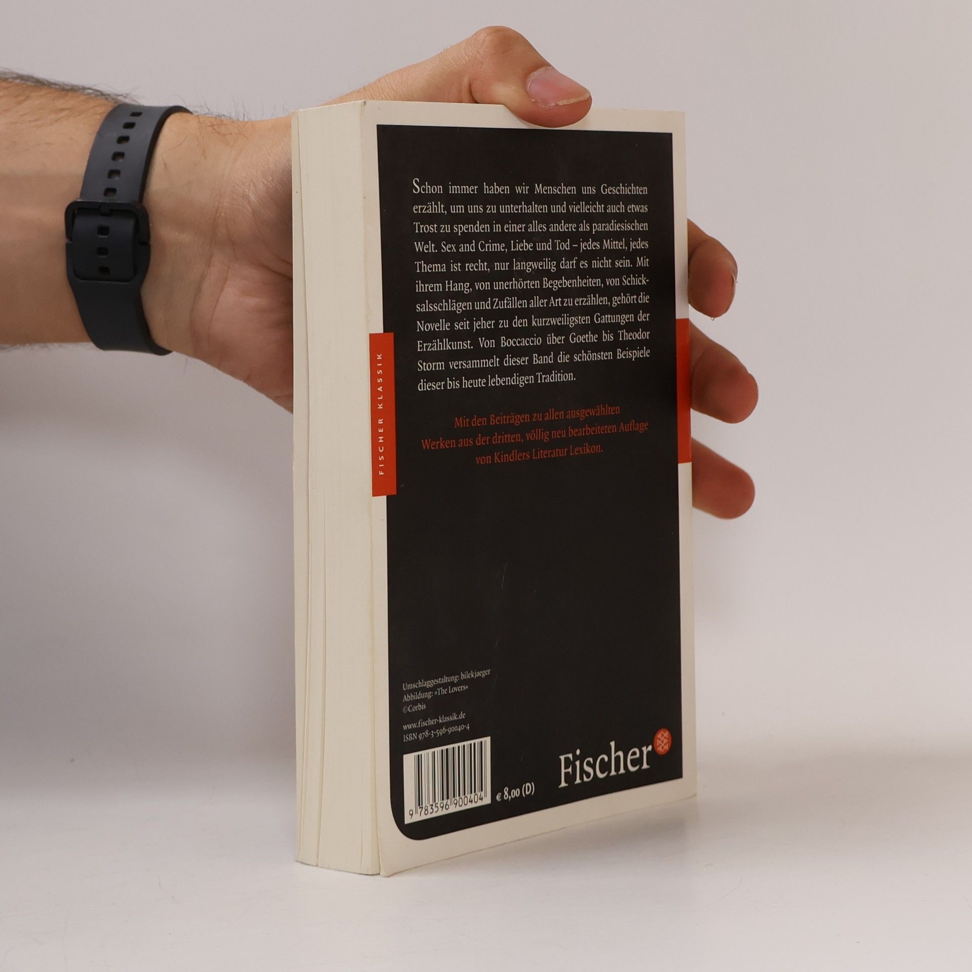 Theodor Storm Die schönsten Novellen