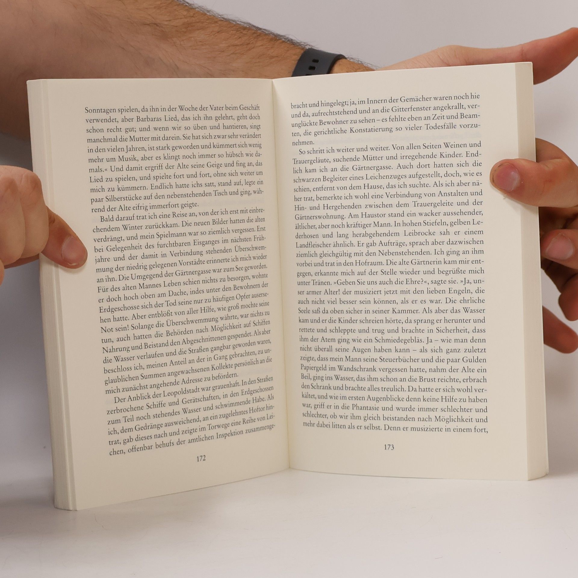 Theodor Storm Die schönsten Novellen