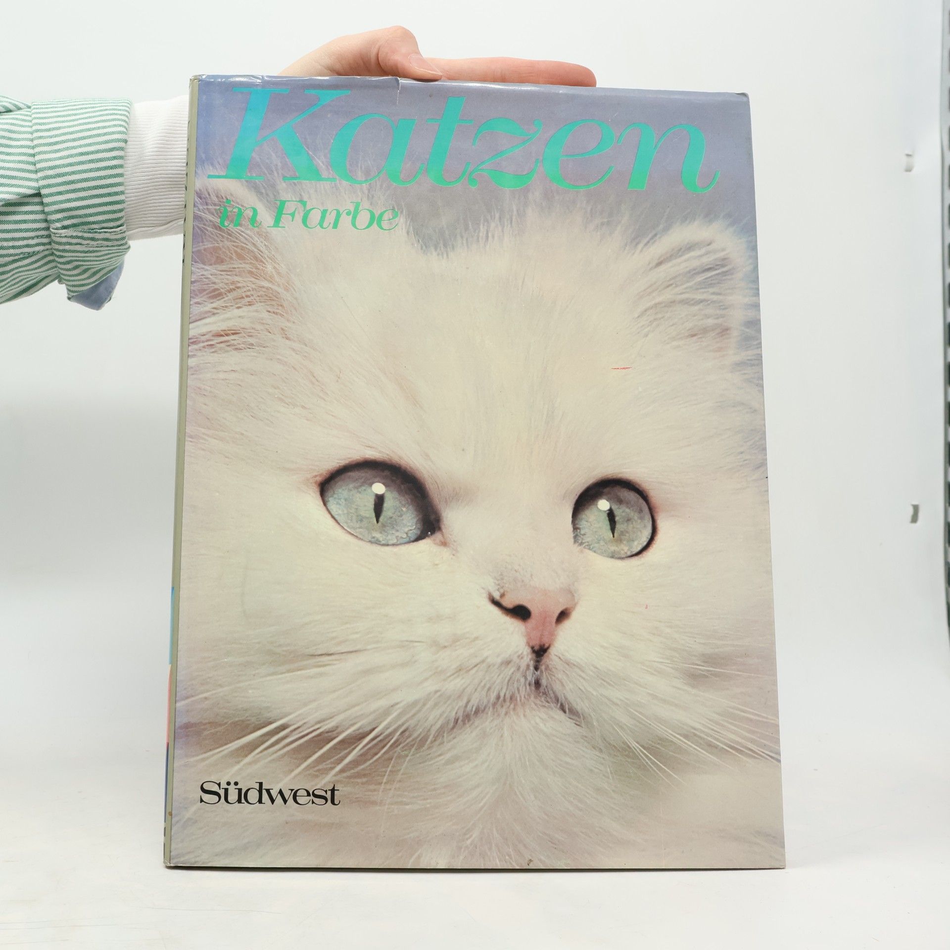 Christine Metcalf Katzen in Farbe