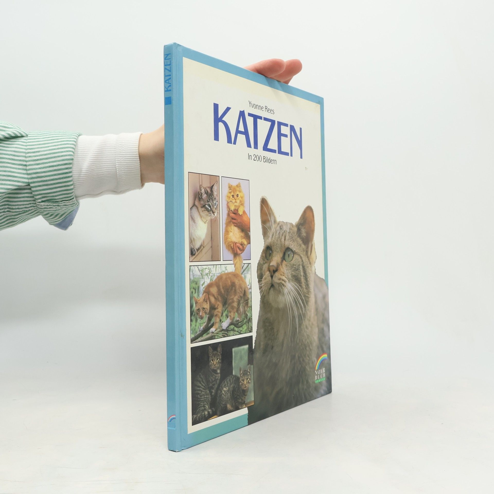 Katzen