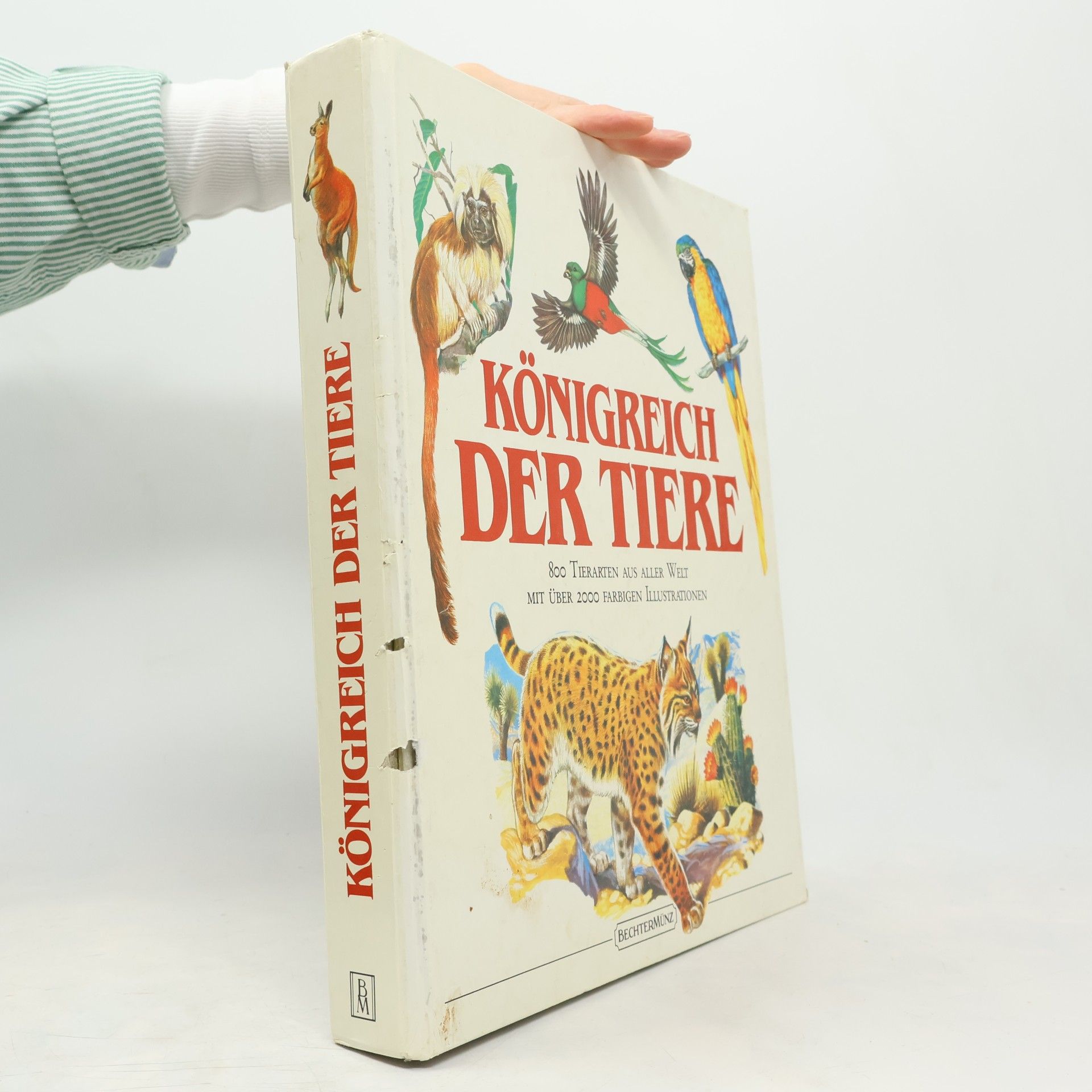 Königreich der Tiere