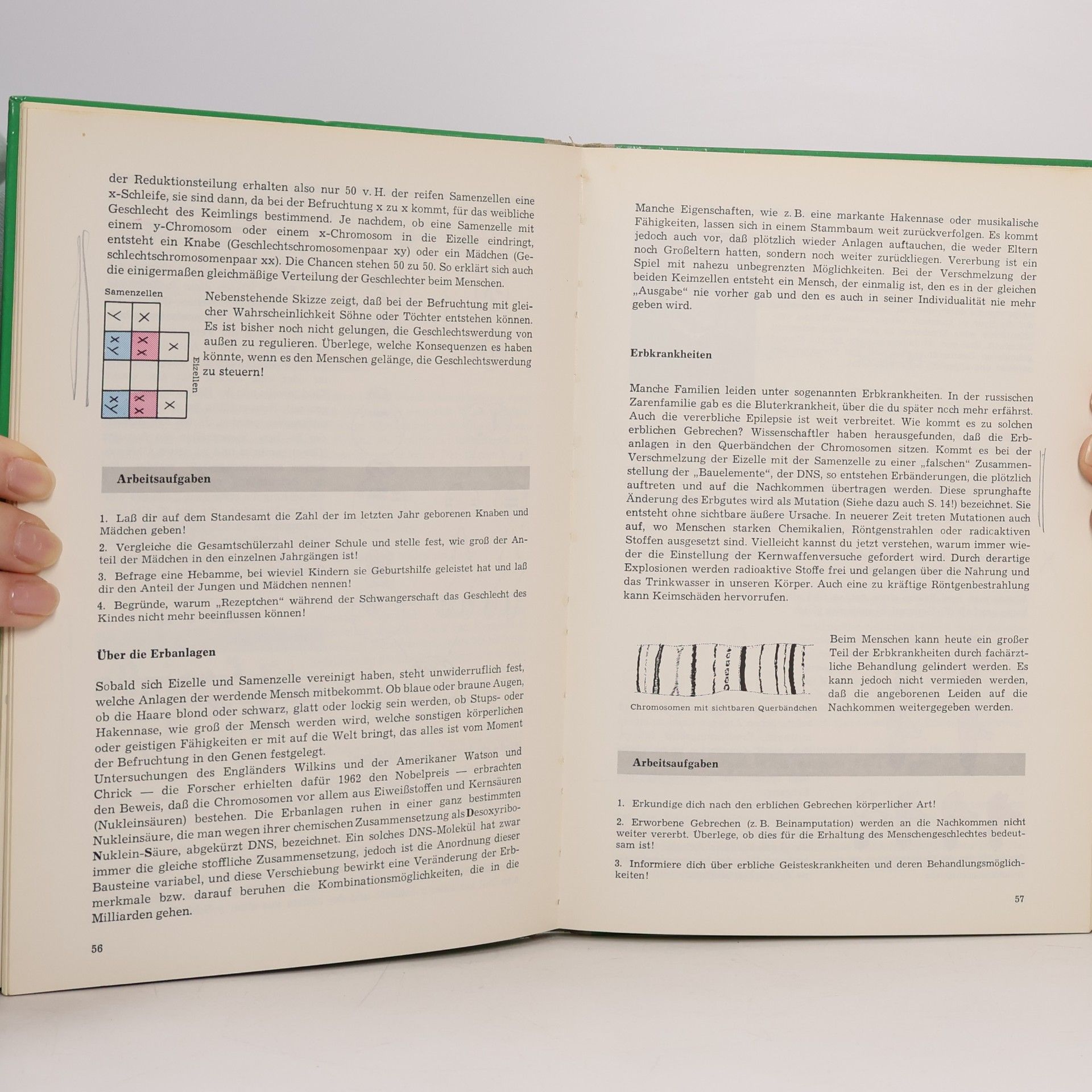 Various authors Leben überall 9.