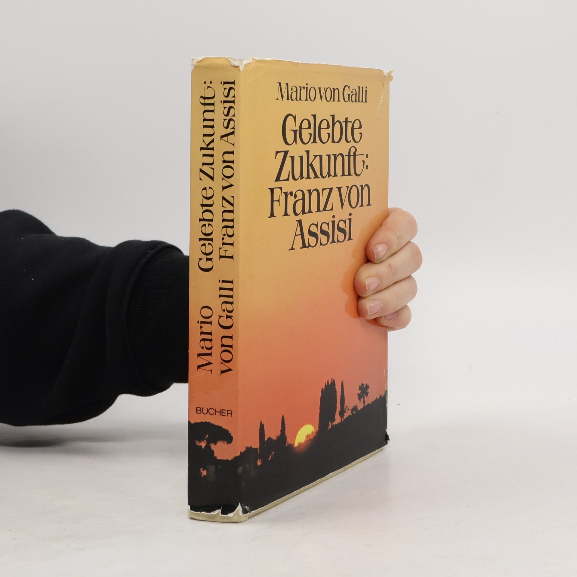Gelebte Zukunft: Franz von Assisi