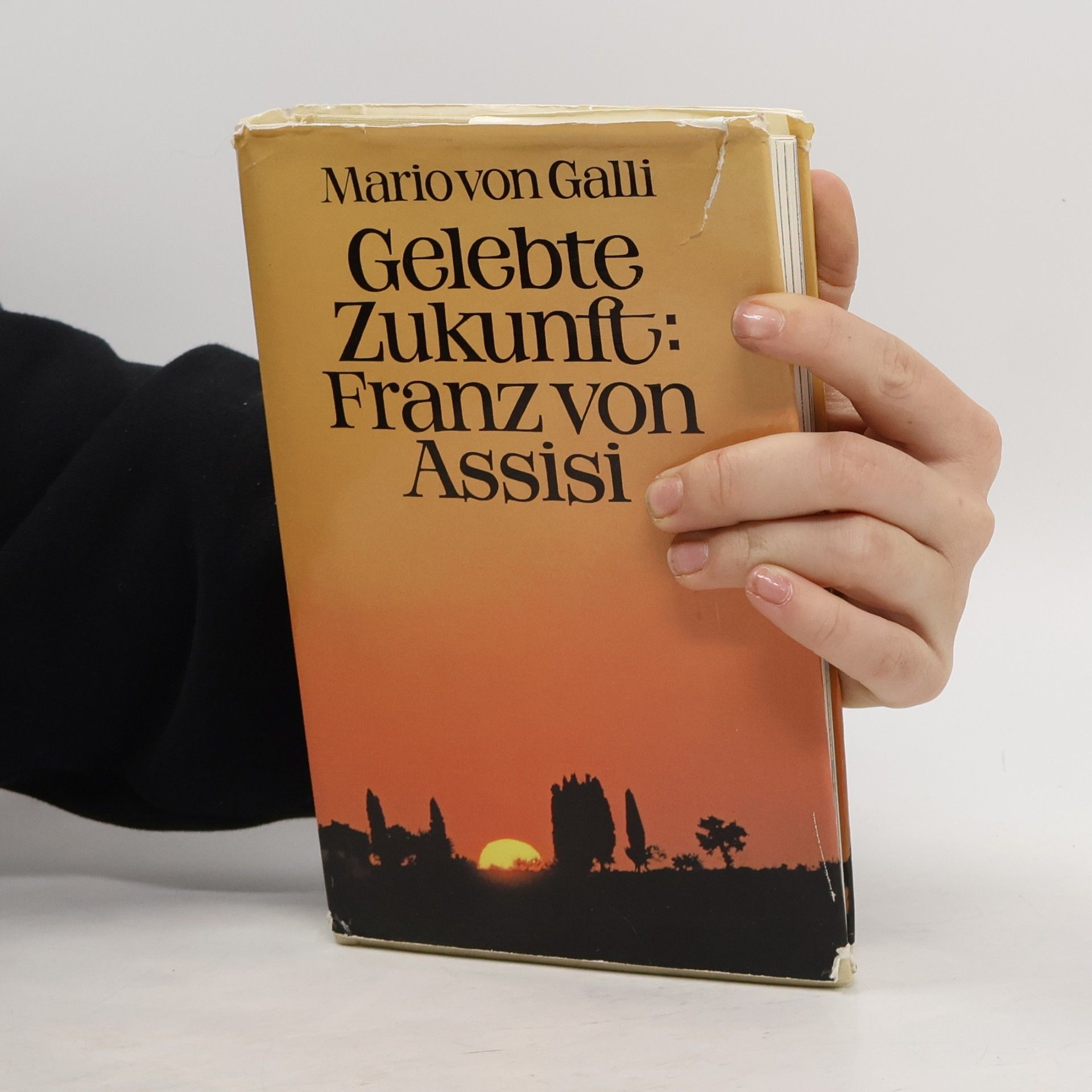 Mario von Galli Gelebte Zukunft: Franz von Assisi