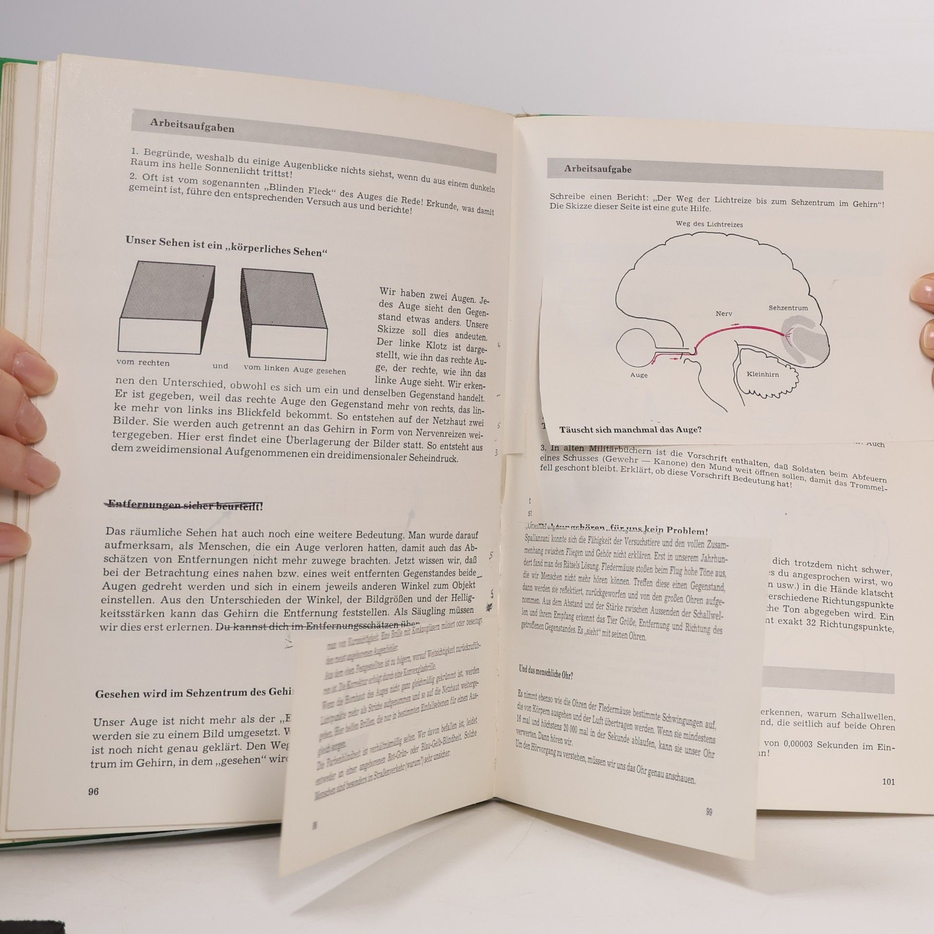 Various authors Leben überall 8