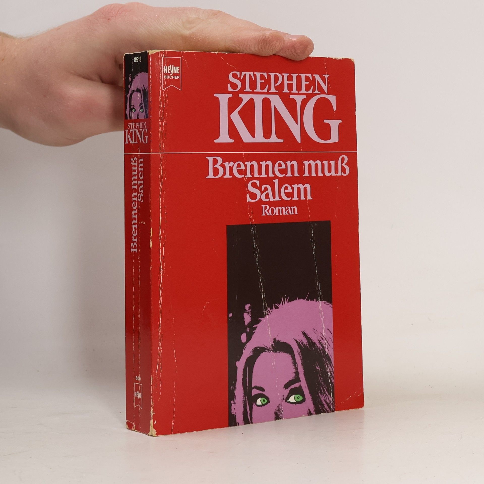 Stephen King Brennen muss Salem