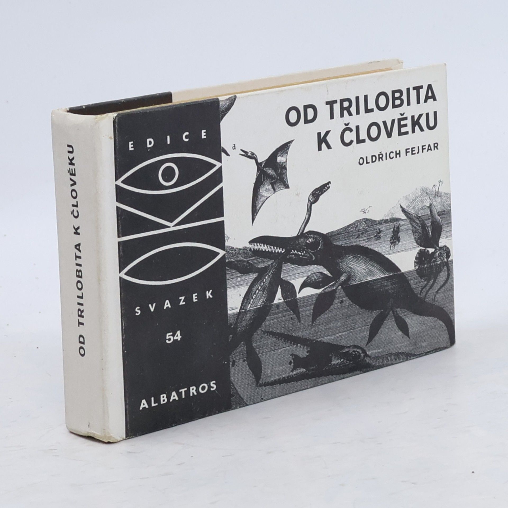 Od trilobita k člověku