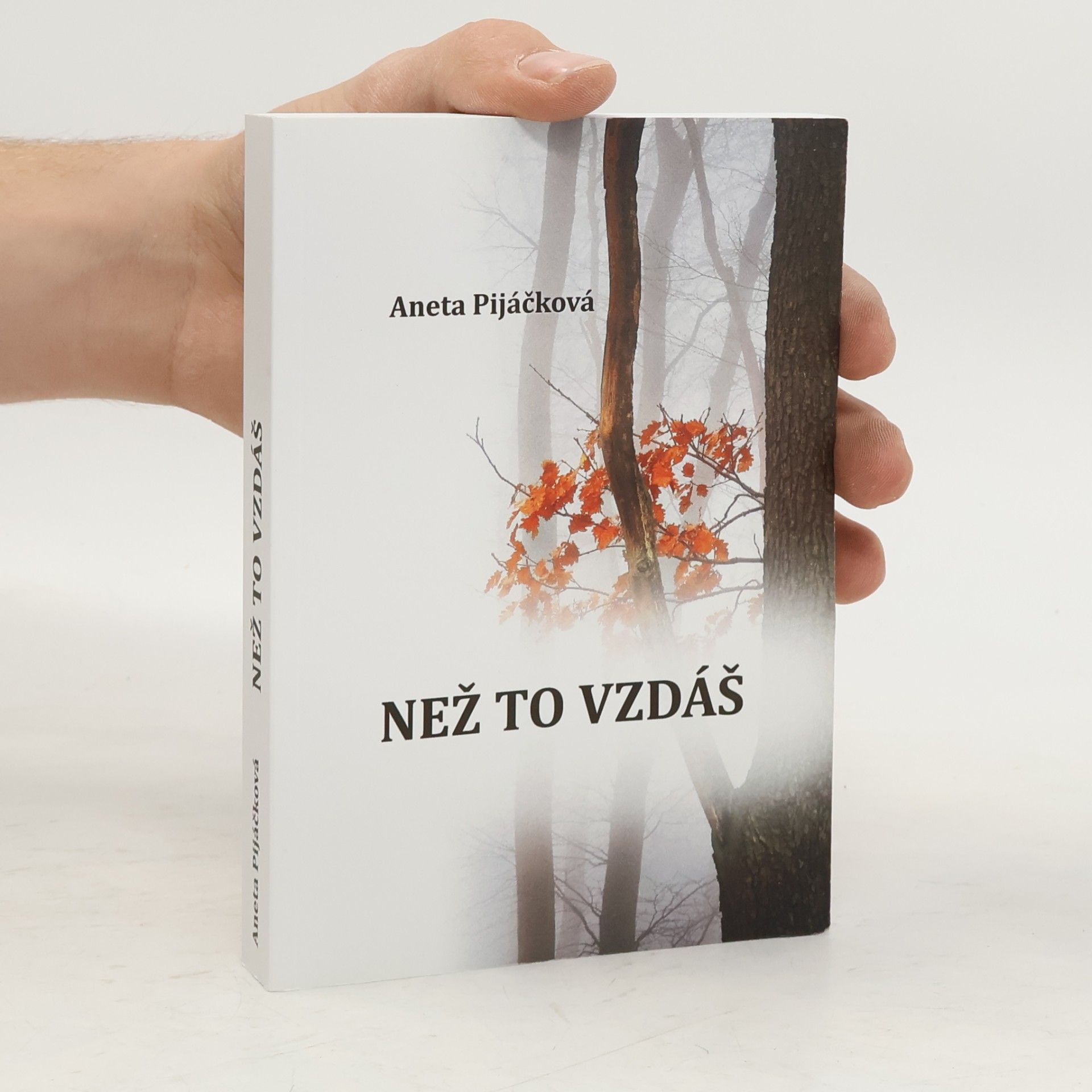 Aneta Pijáčková Než to vzdáš