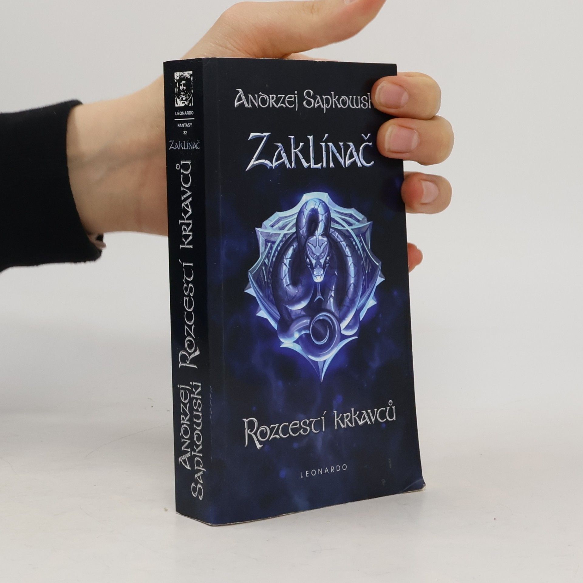 Zaklínač IX. Rozcestí krkavců
