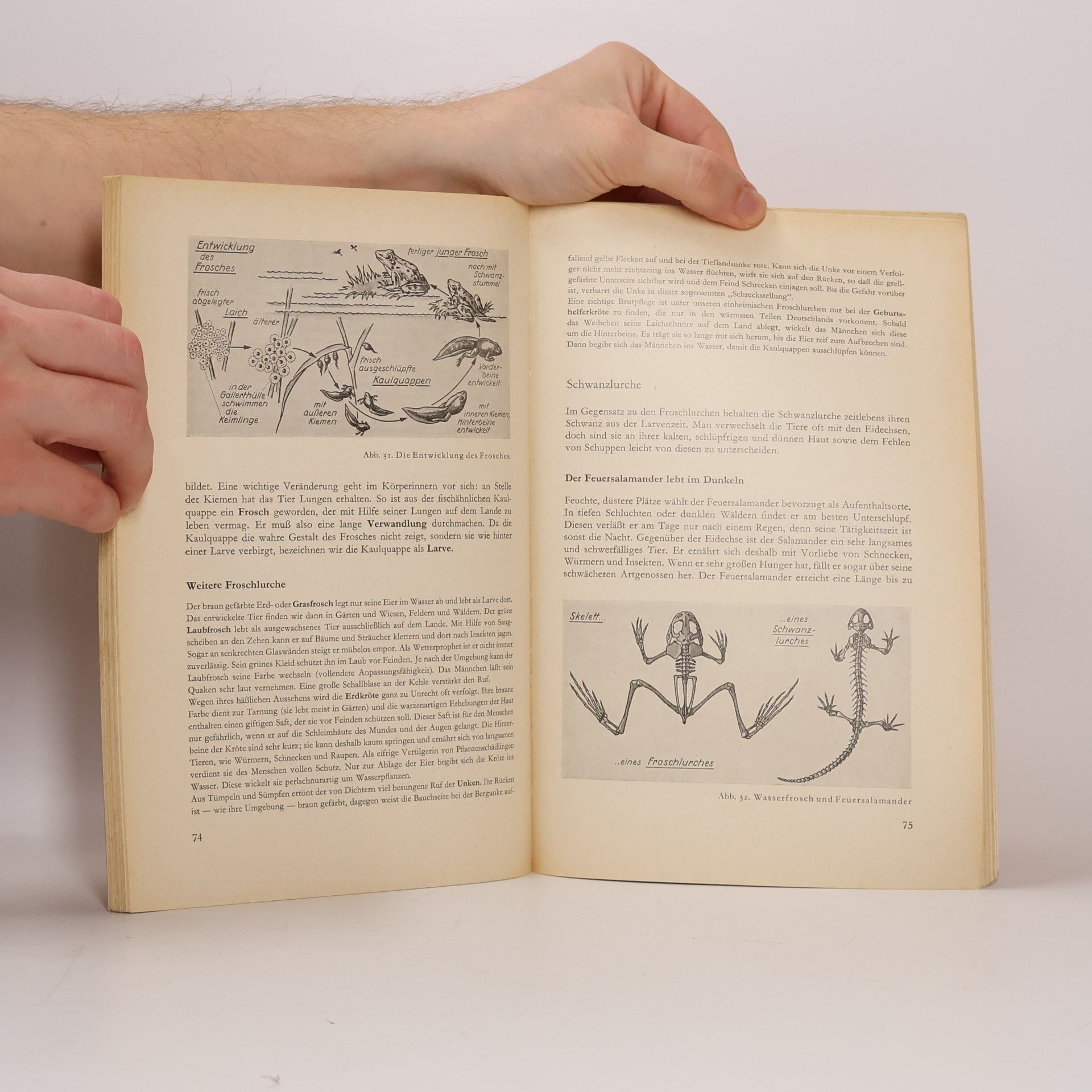 Wolfram Hausmann Biologie für Mittelschulen 1
