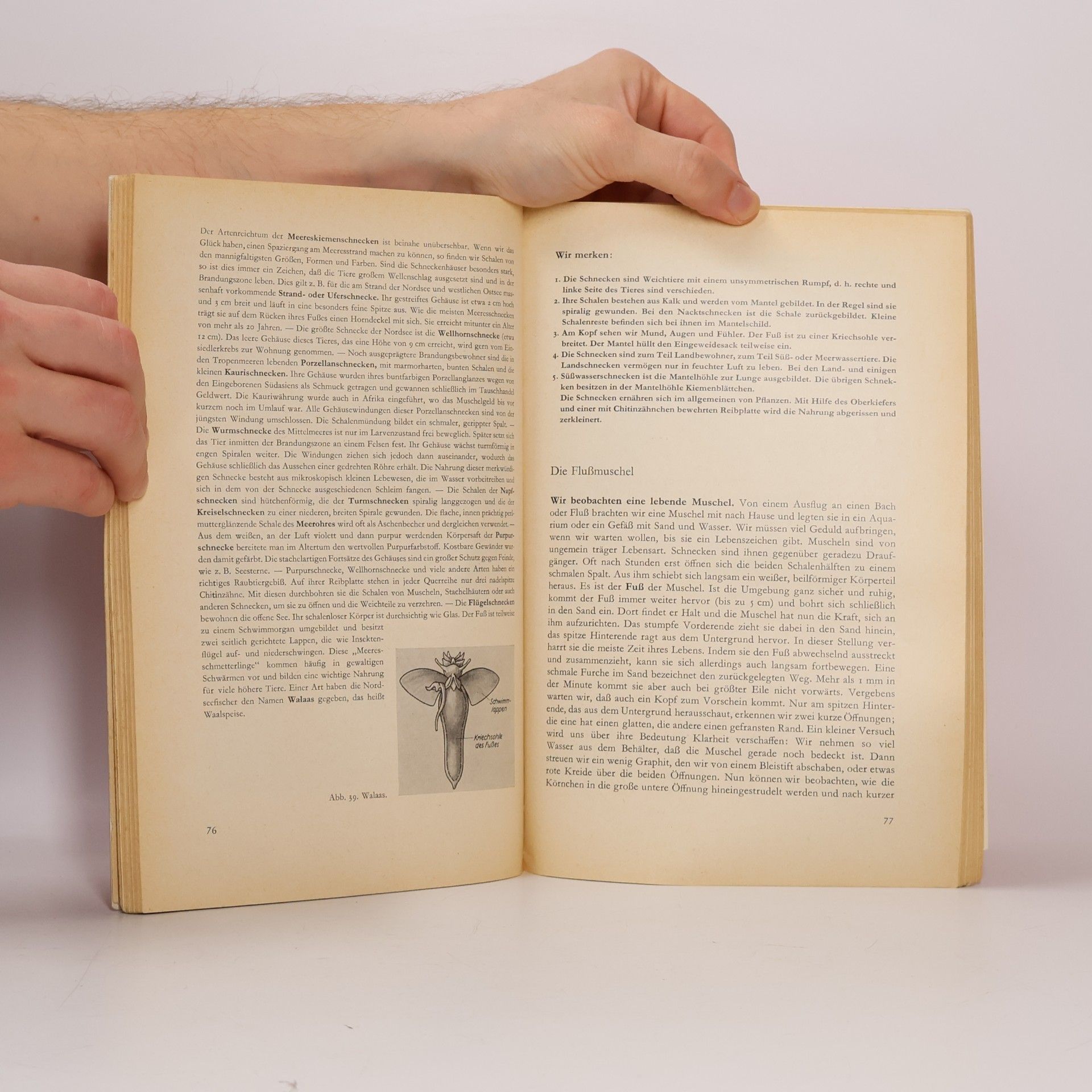 Wolfram Hausmann Biologie für Mittelschulen II M