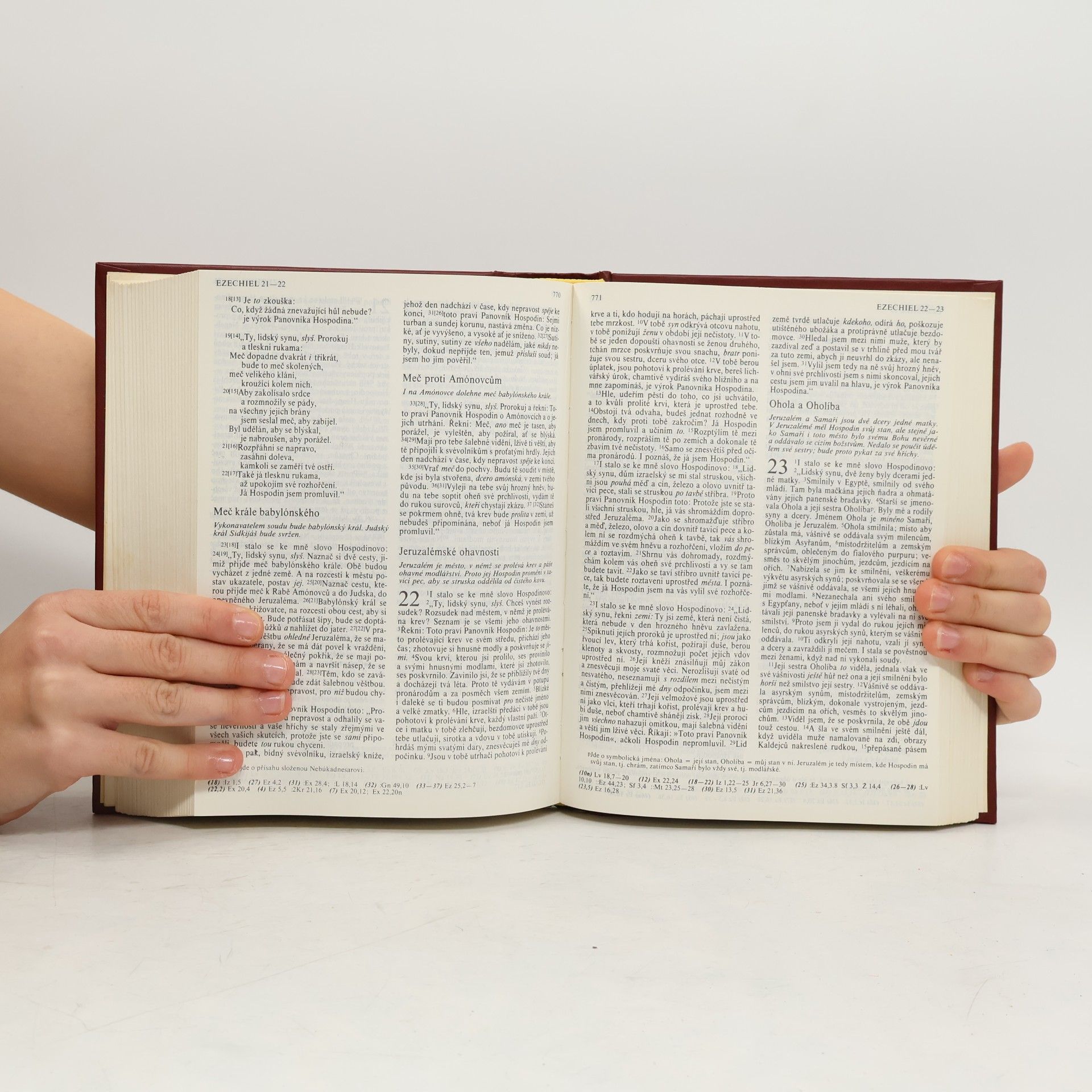 Autorenkollektiv Bible. Písmo svaté Starého a Nového zákona