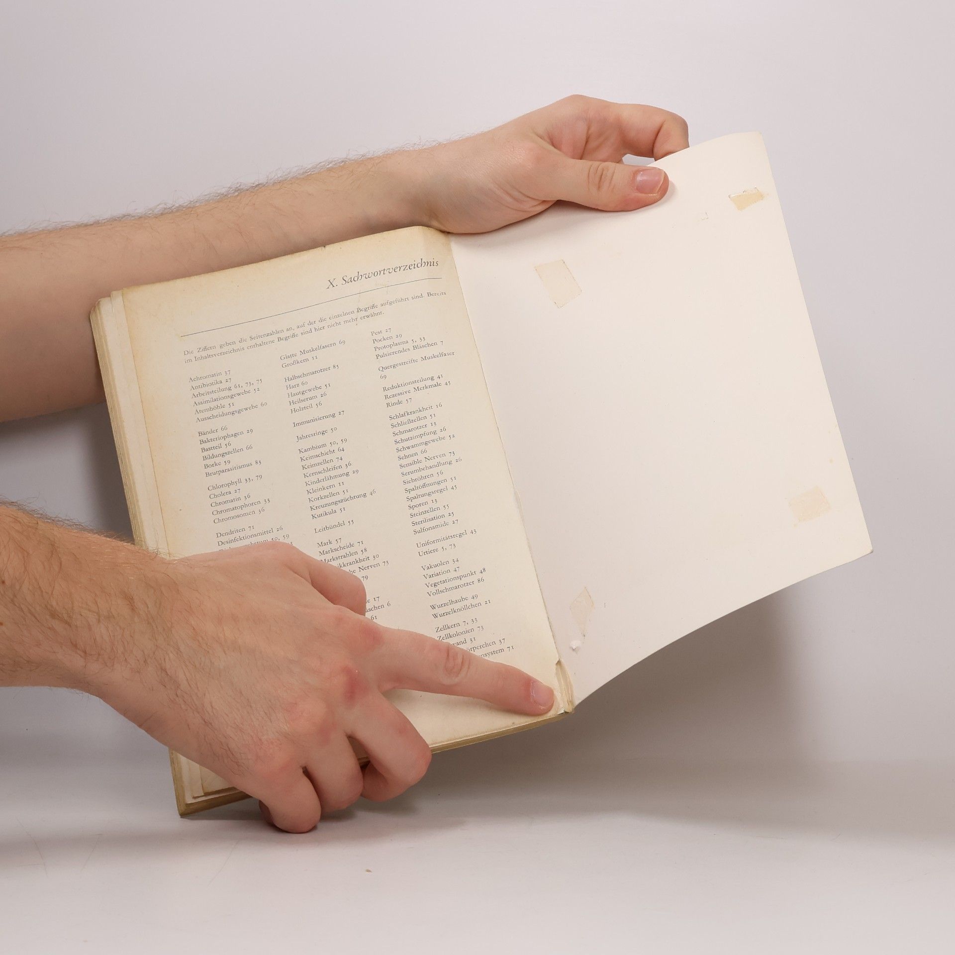 Wolfram Hausmann Biologie für Mittelschulen III