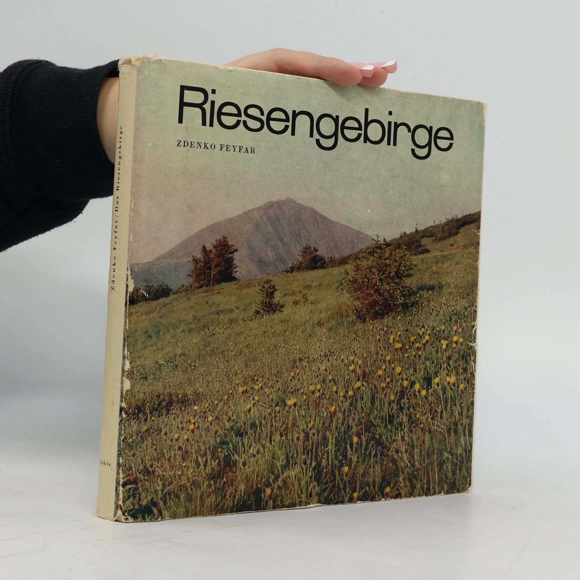 Das Riesengebirge