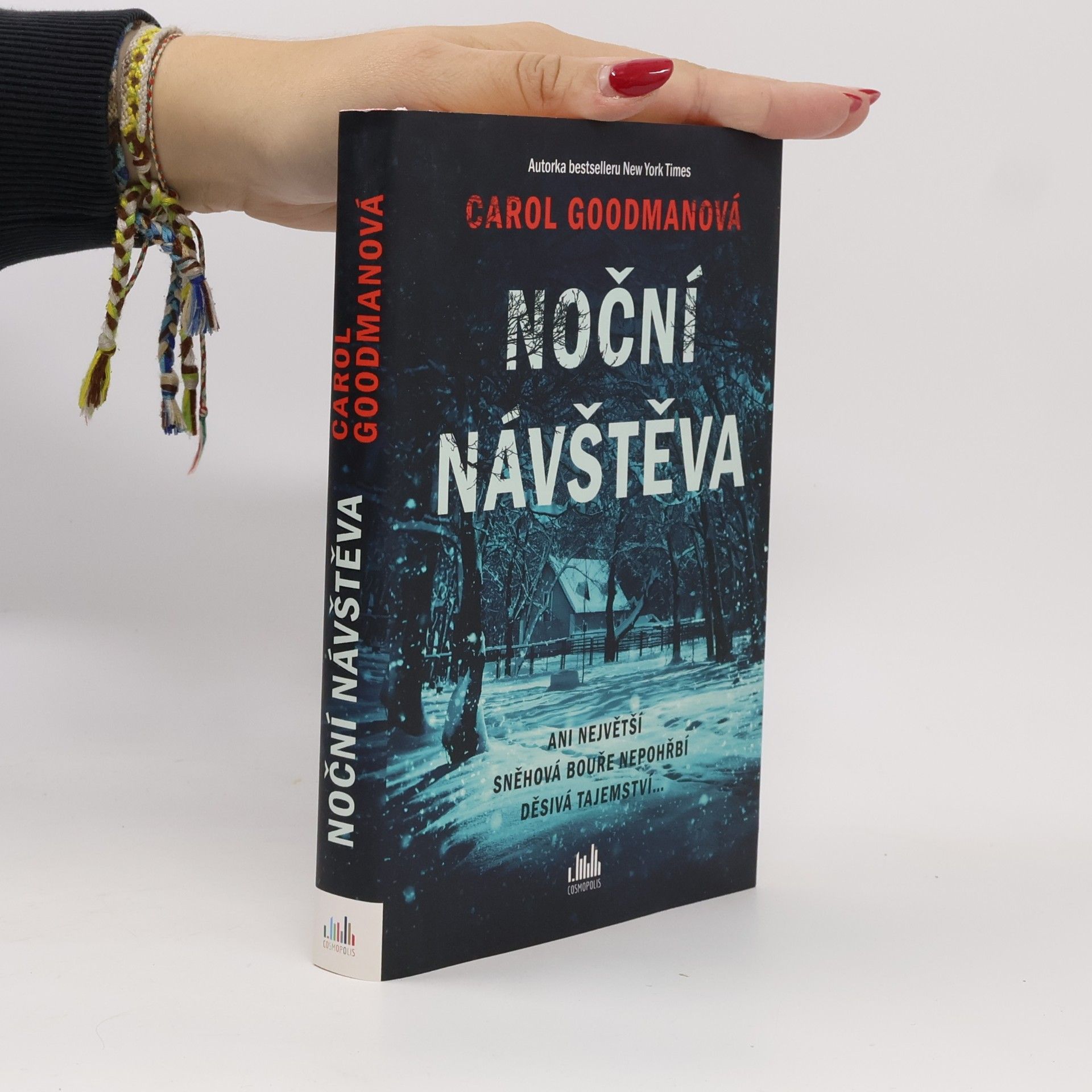 Noční návštěva