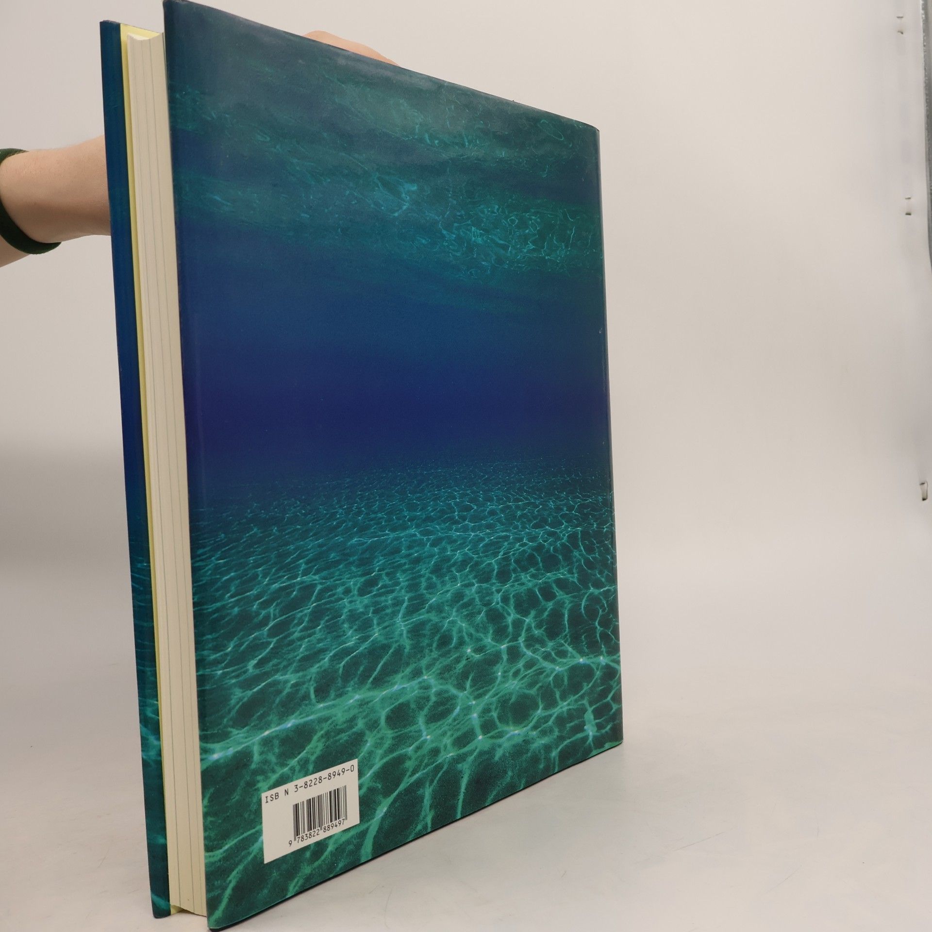 Autorenkollektiv Odyssee: die besten Photos aus National Geographic