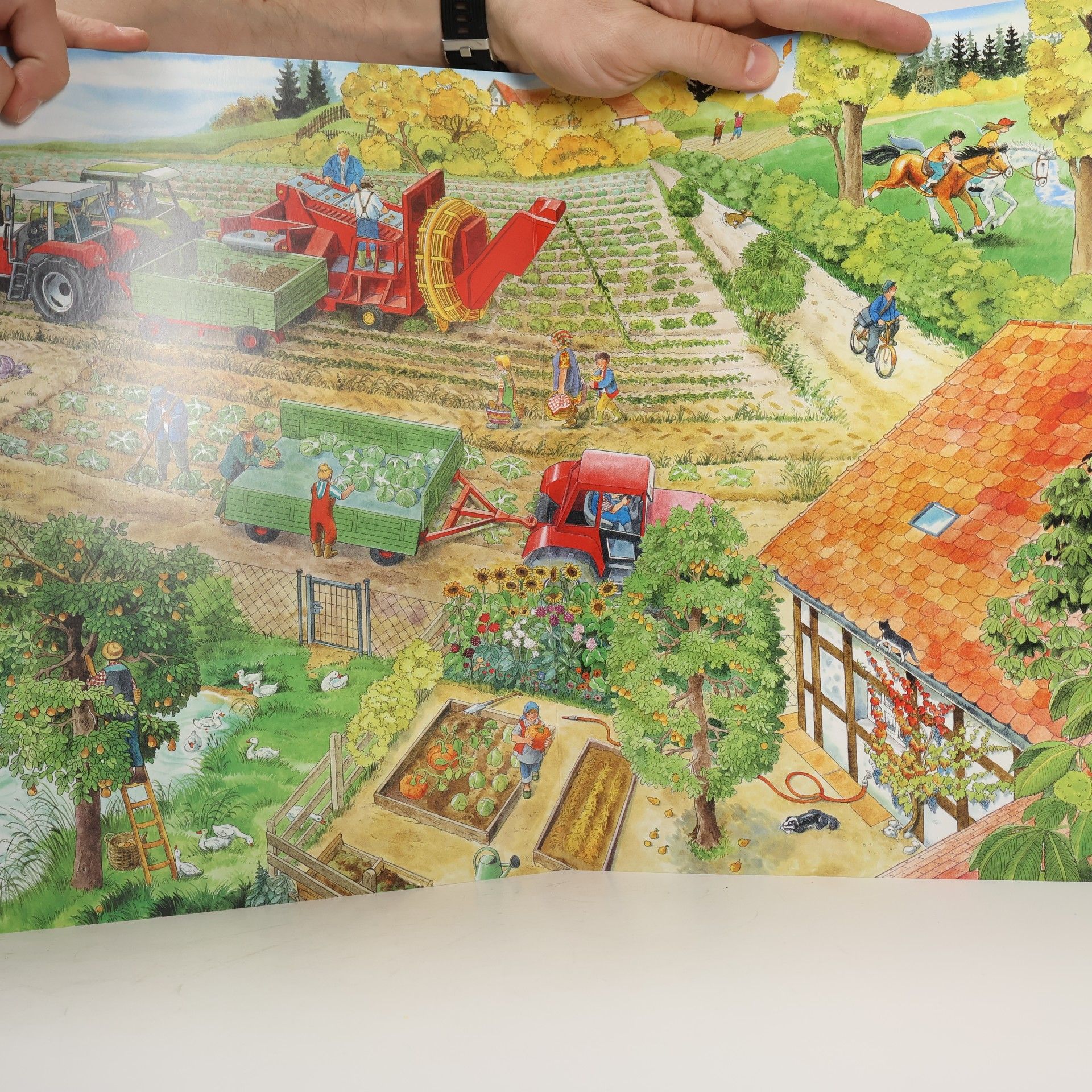 Anne Suess Das Wimmelbuch vom Bauernhof