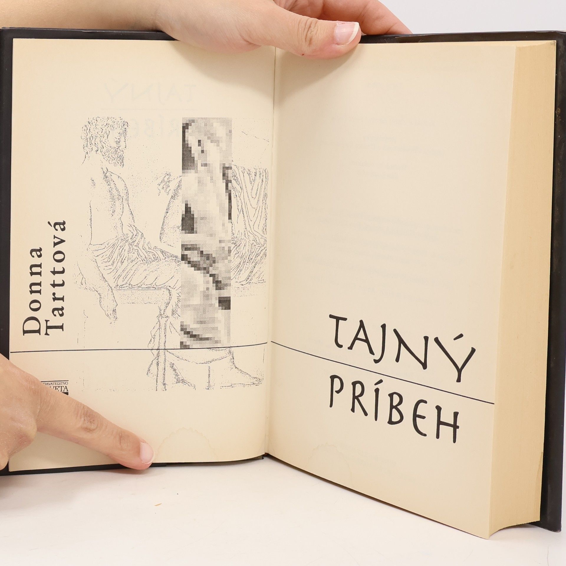 Donna Tartt Tajný príbeh