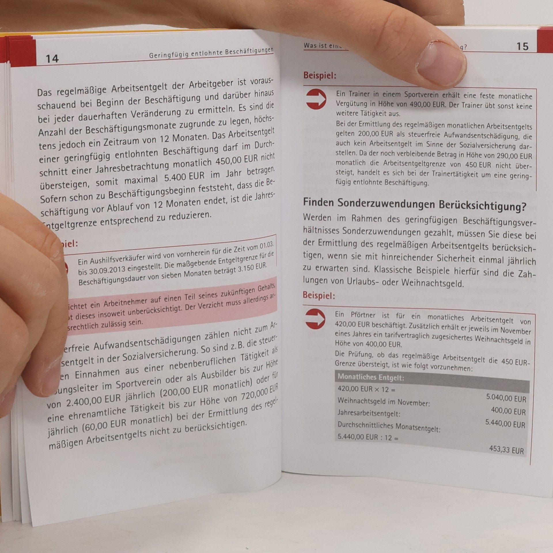 Uwe Thiemann 450-Euro-Mini-Jobs: Aktuell zur Reform - 4. Auflage