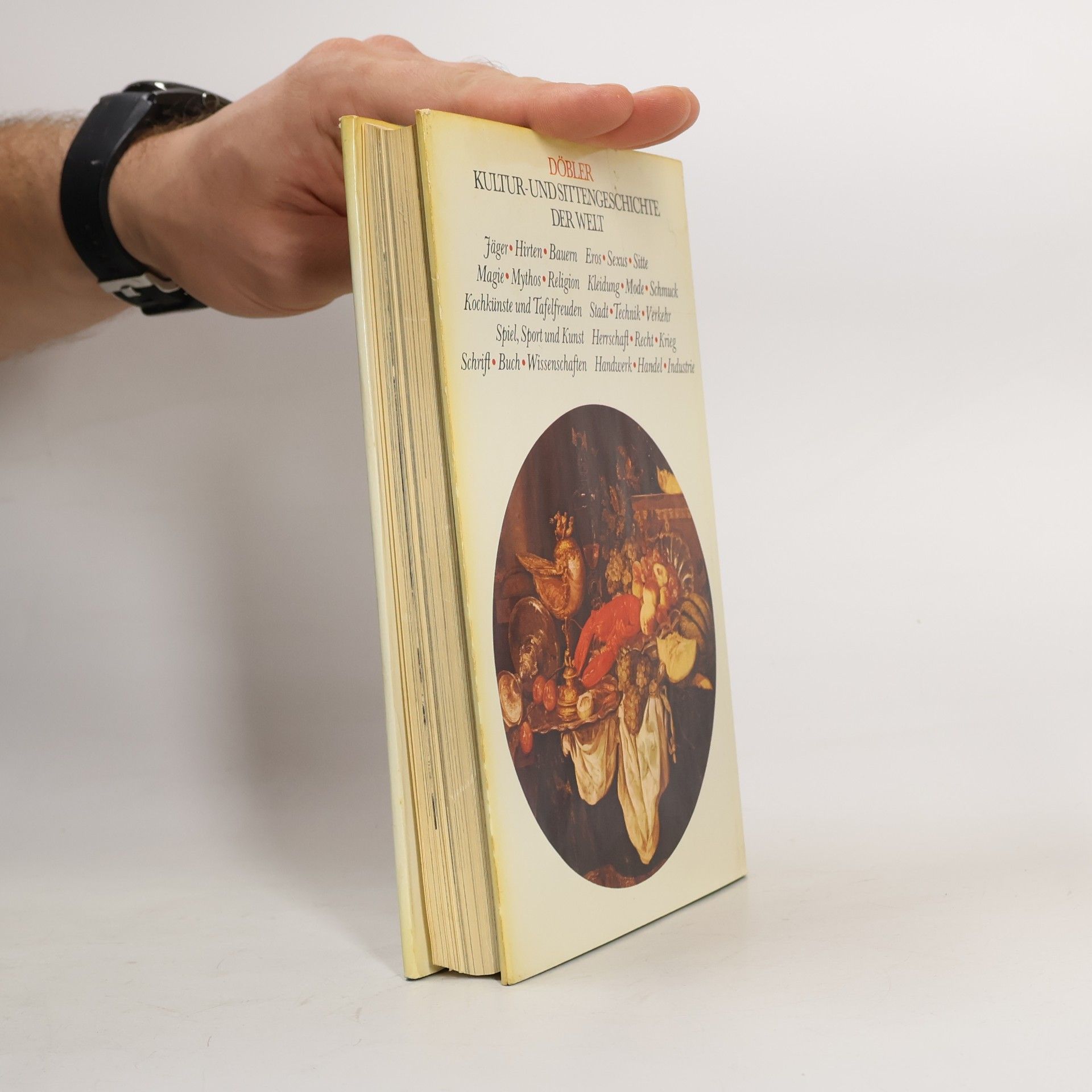 Kolektiv autorů Kultur und Sittengeschichte der Welt