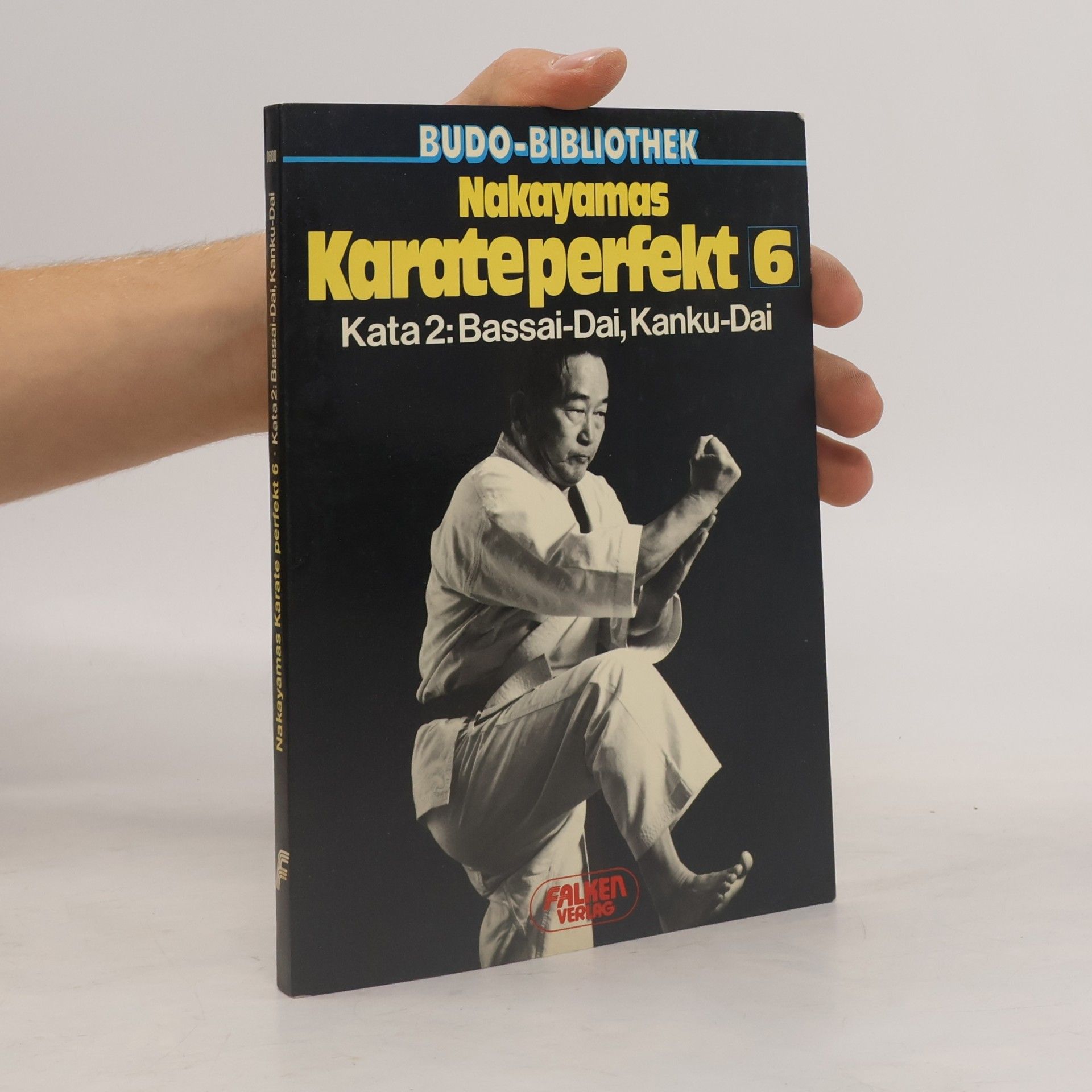 Karate perfekt 6