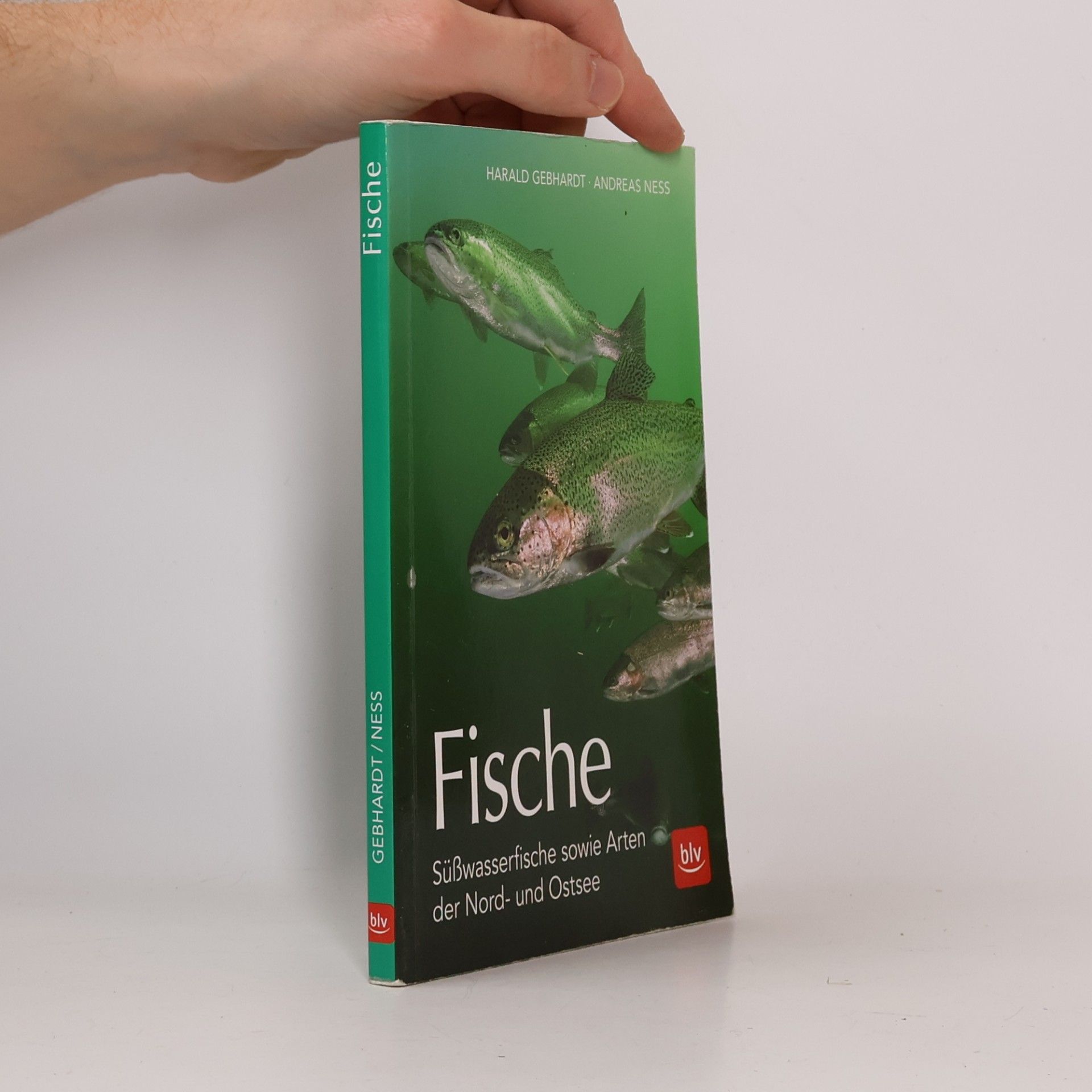 Harald Gebhardt Fische