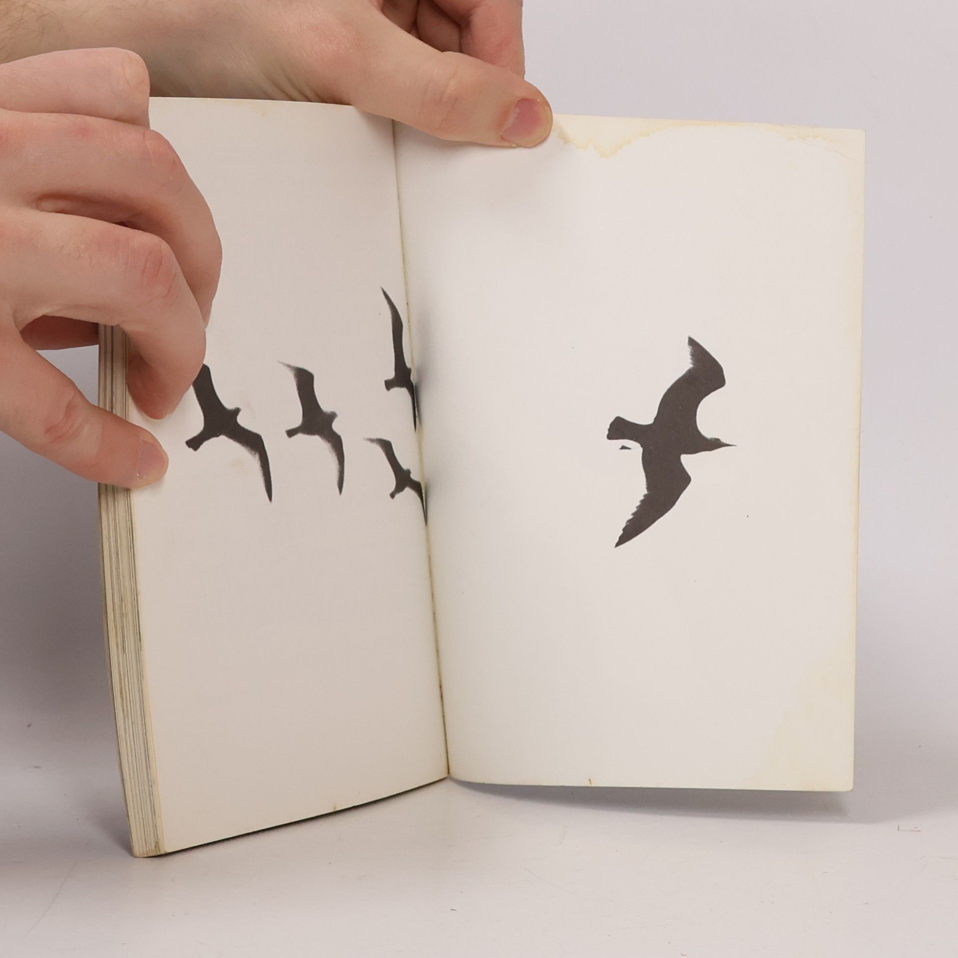 Richard Bach Jonathan Livingston Seagull