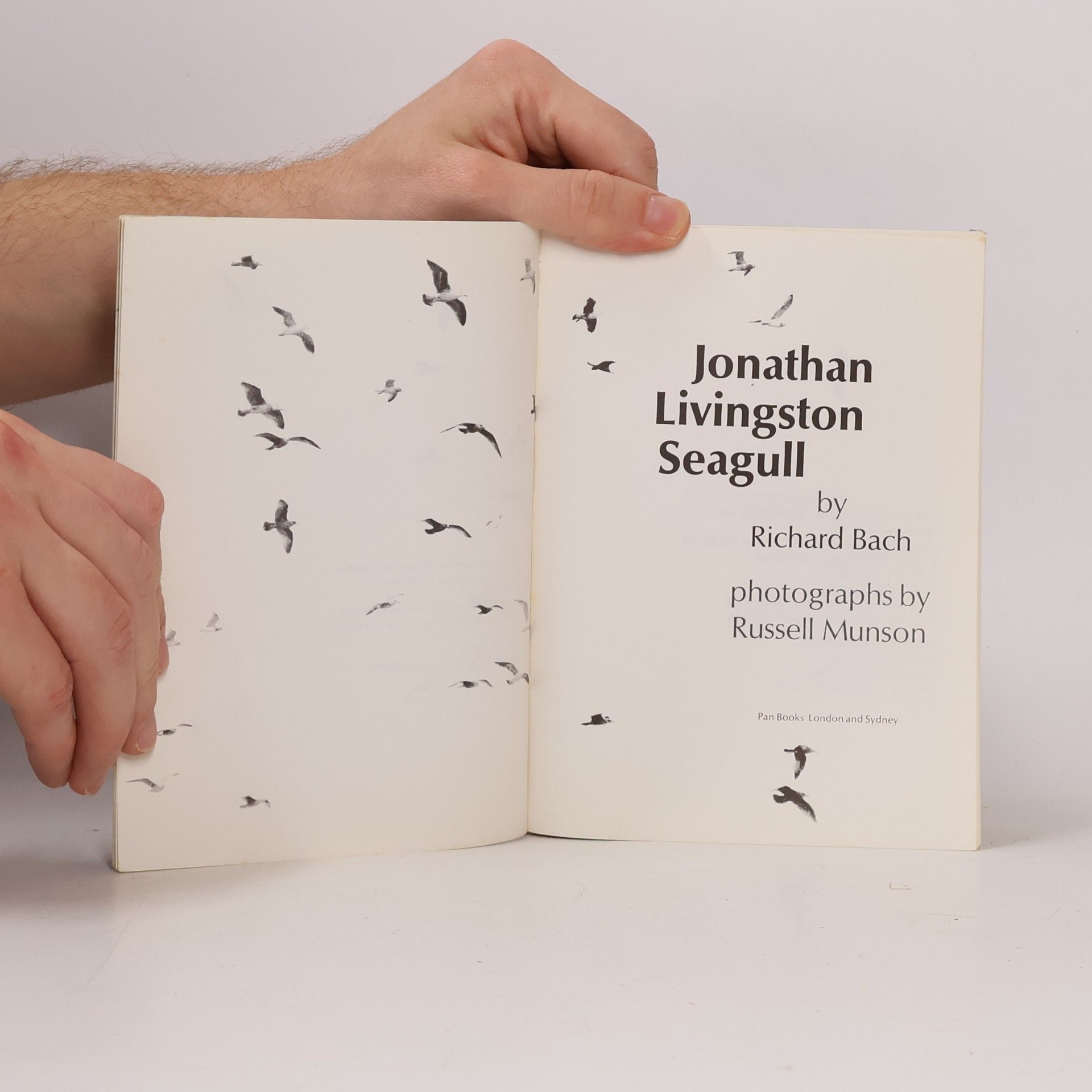Richard Bach Jonathan Livingston Seagull