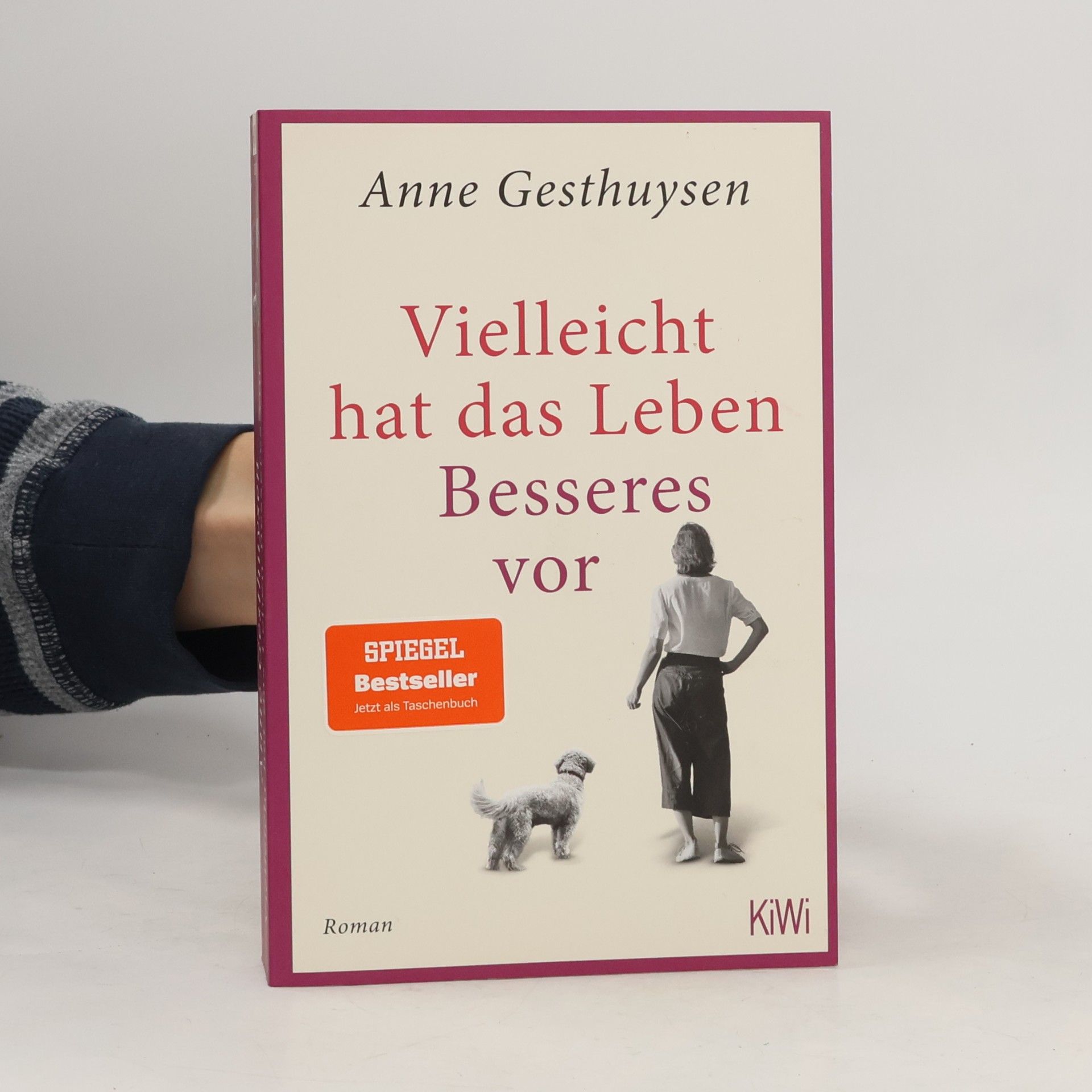 Anne Gesthuysen Vielleicht hat das Leben Besseres vor: Roman