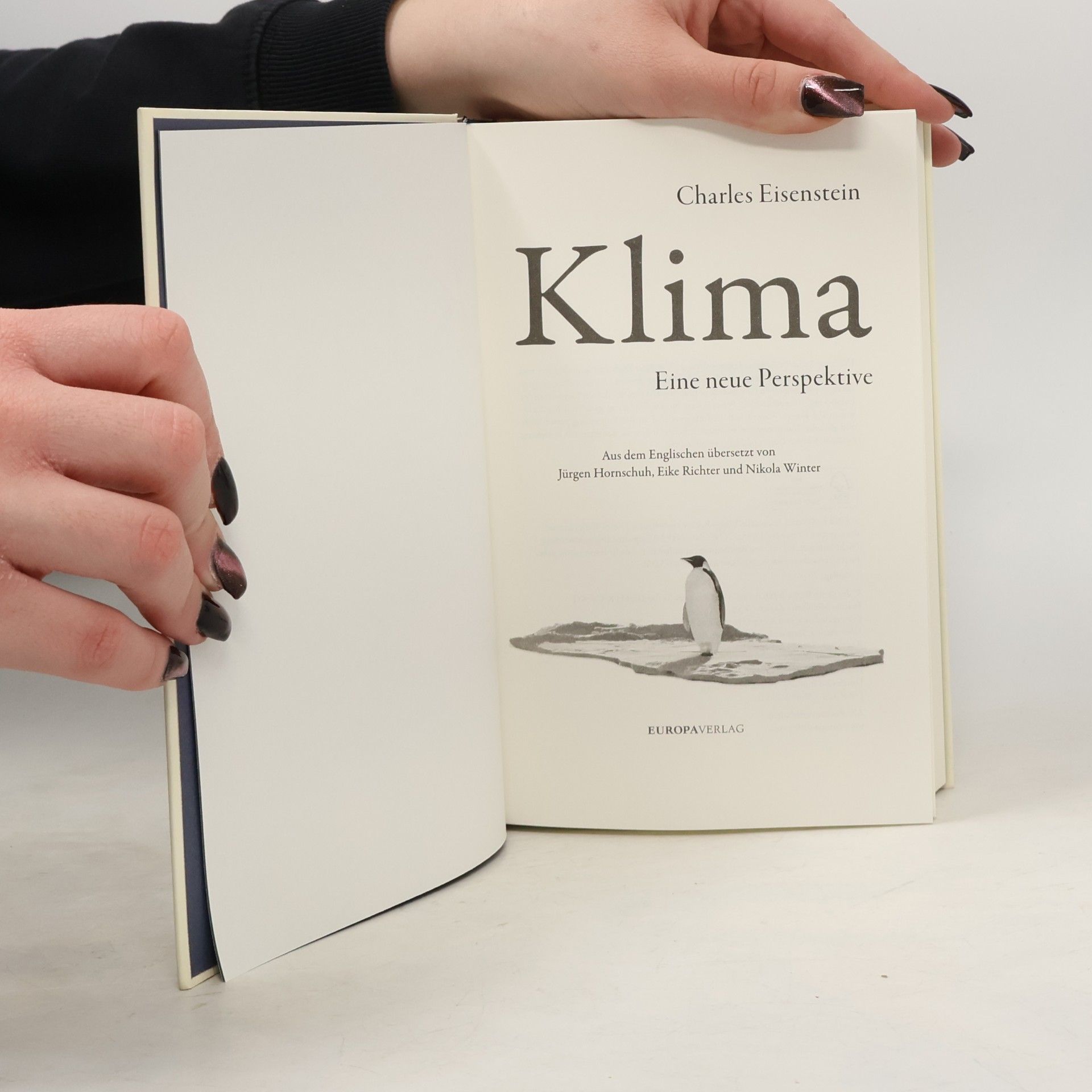 Charles Eisenstein Klima