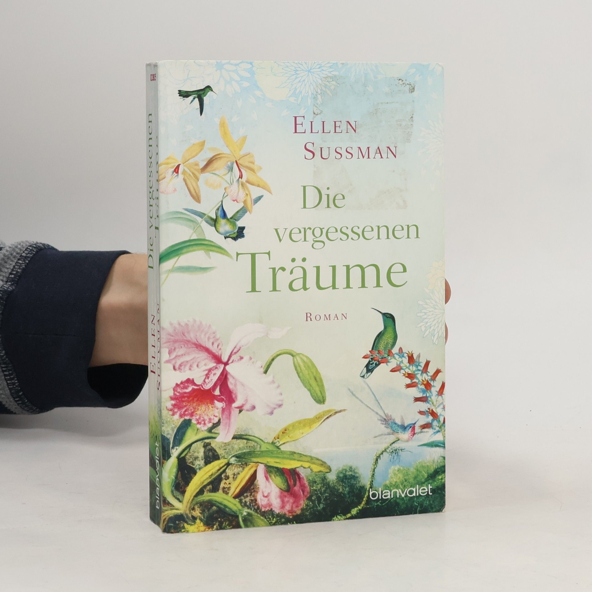 Die vergessenen Träume