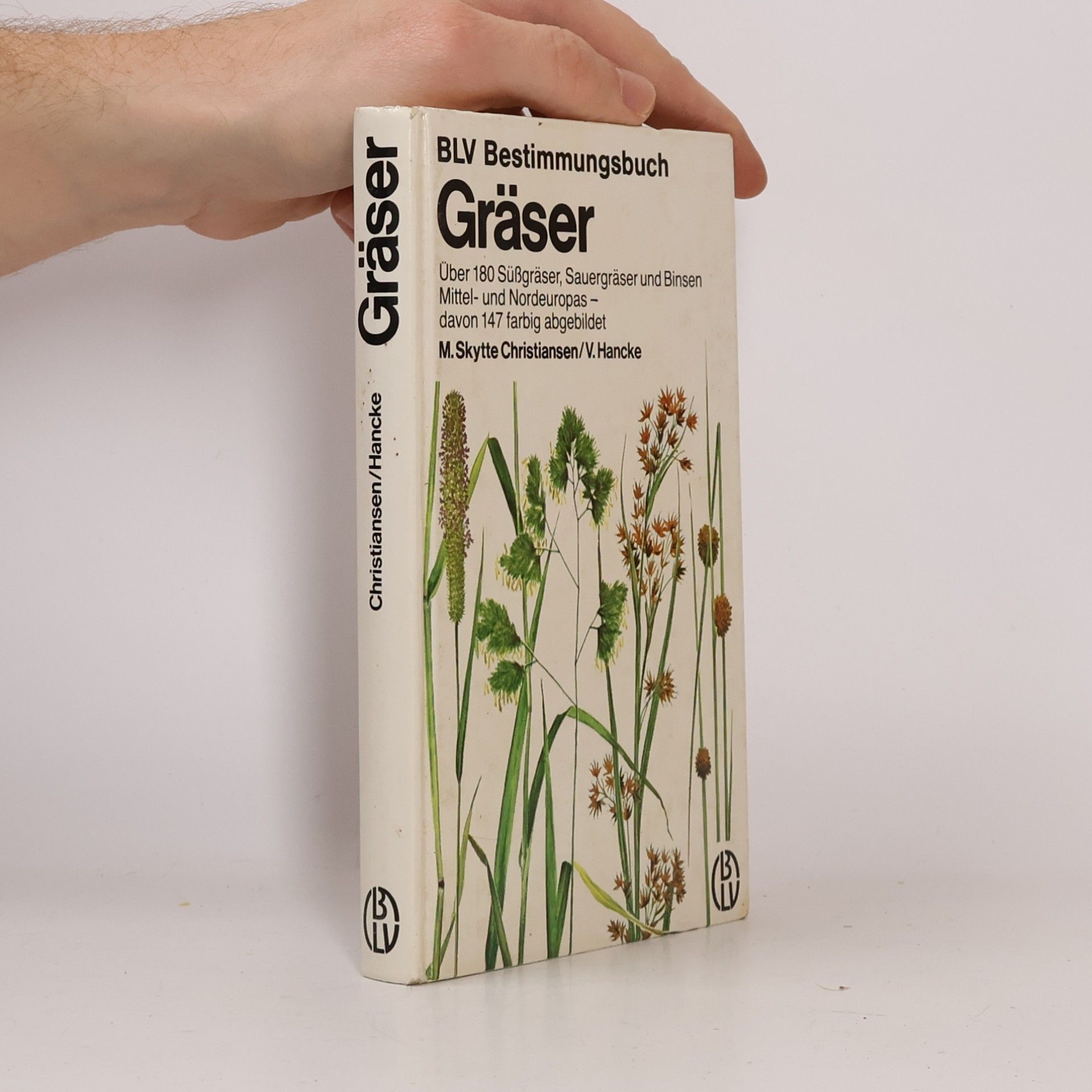 Gräser
