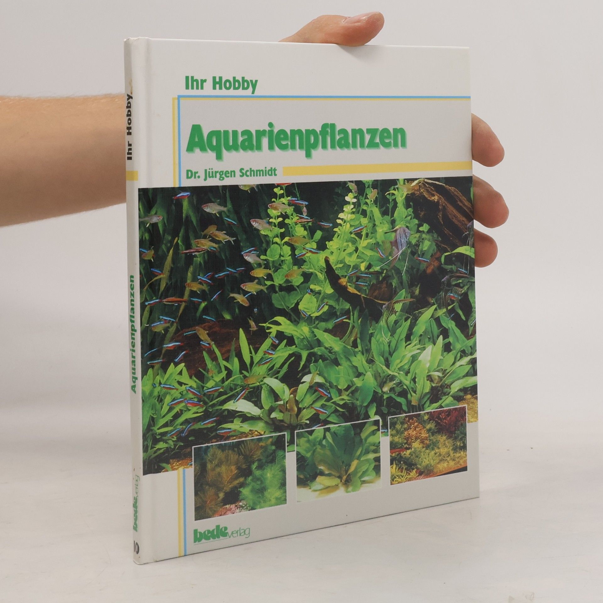 Aquarienpflanzen