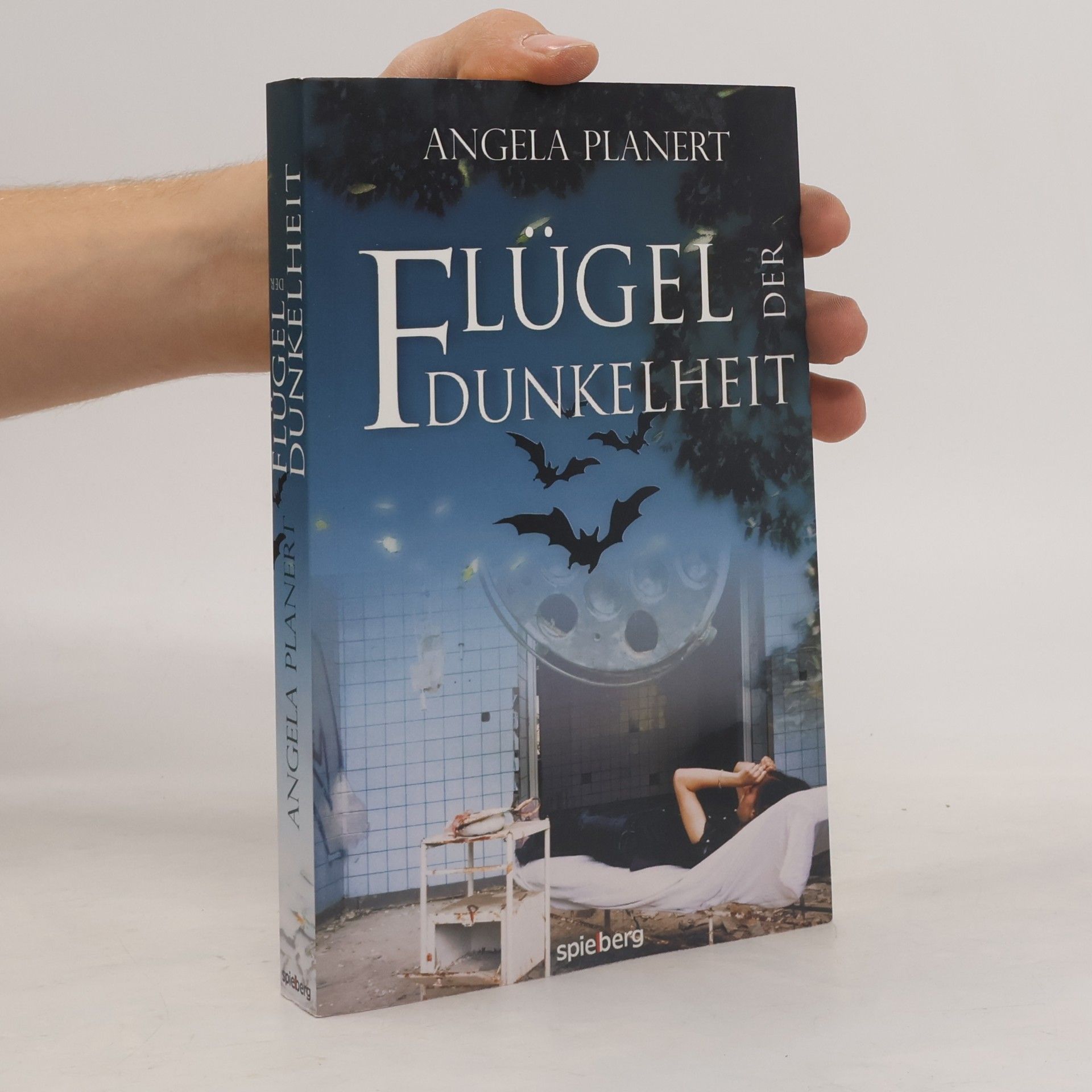 Flügel der Dunkelheit